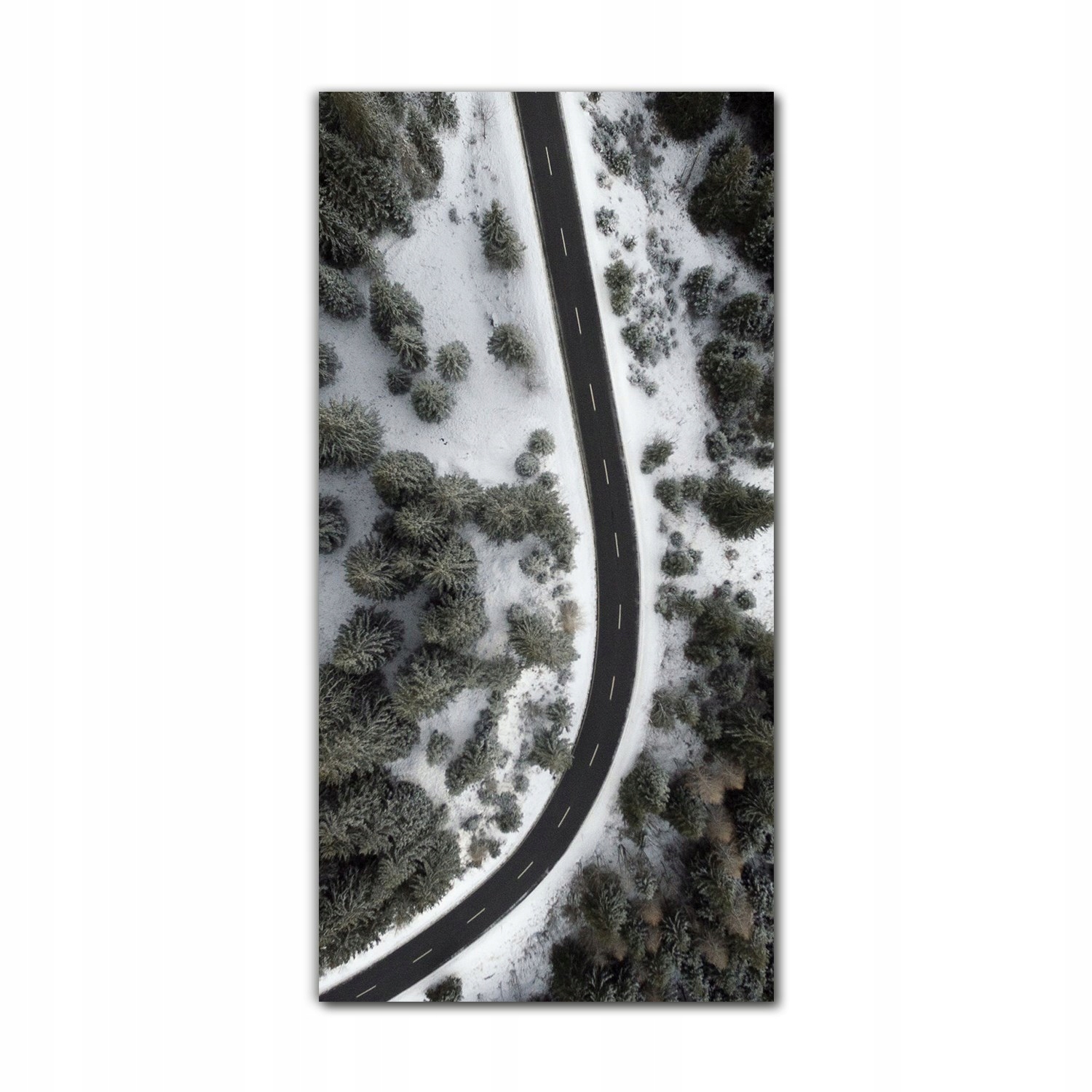 

Foto na szkle na ścianę 70x140 cm Las ulica zima