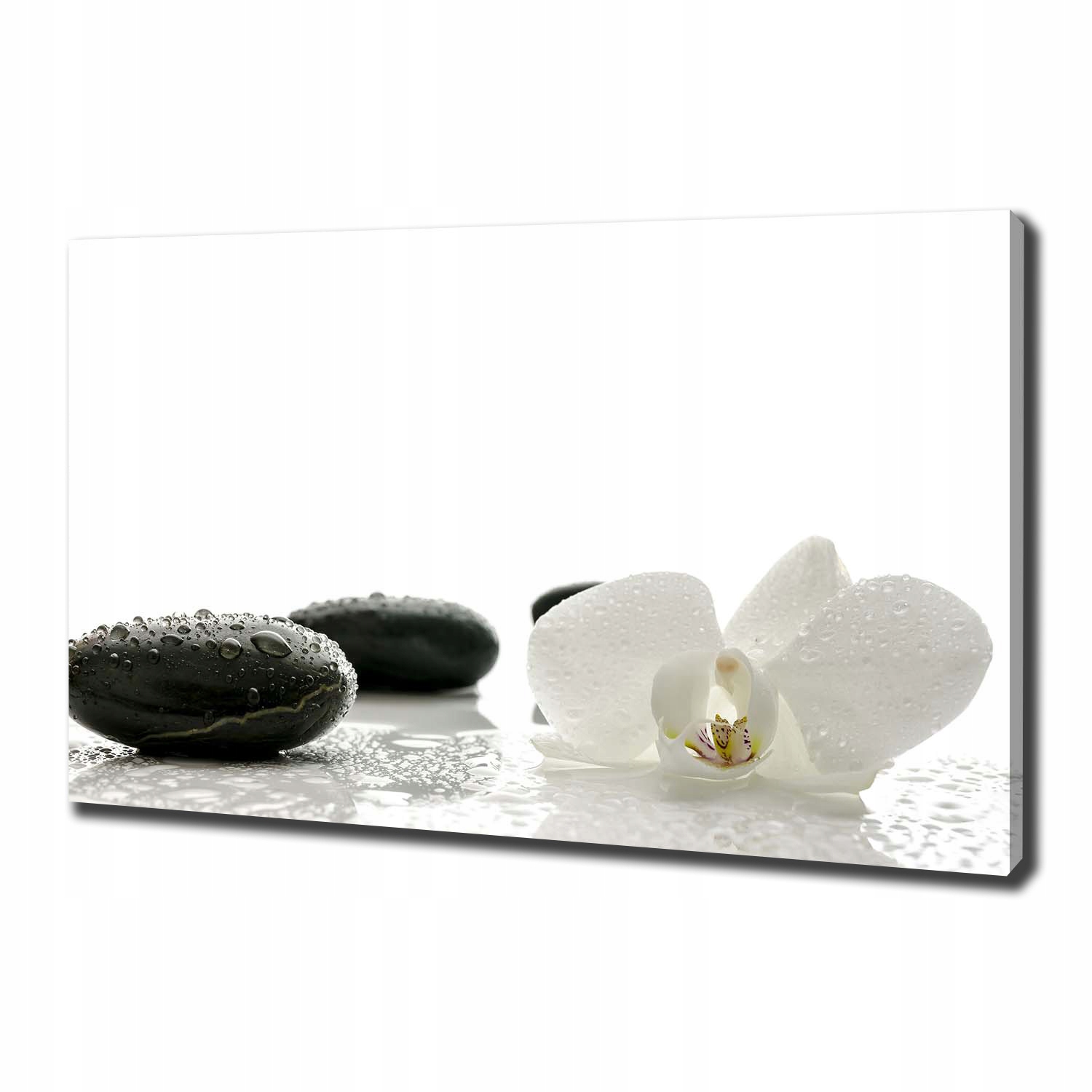 

Foto obraz canvas na ścianę Orchidea 100x70 cm