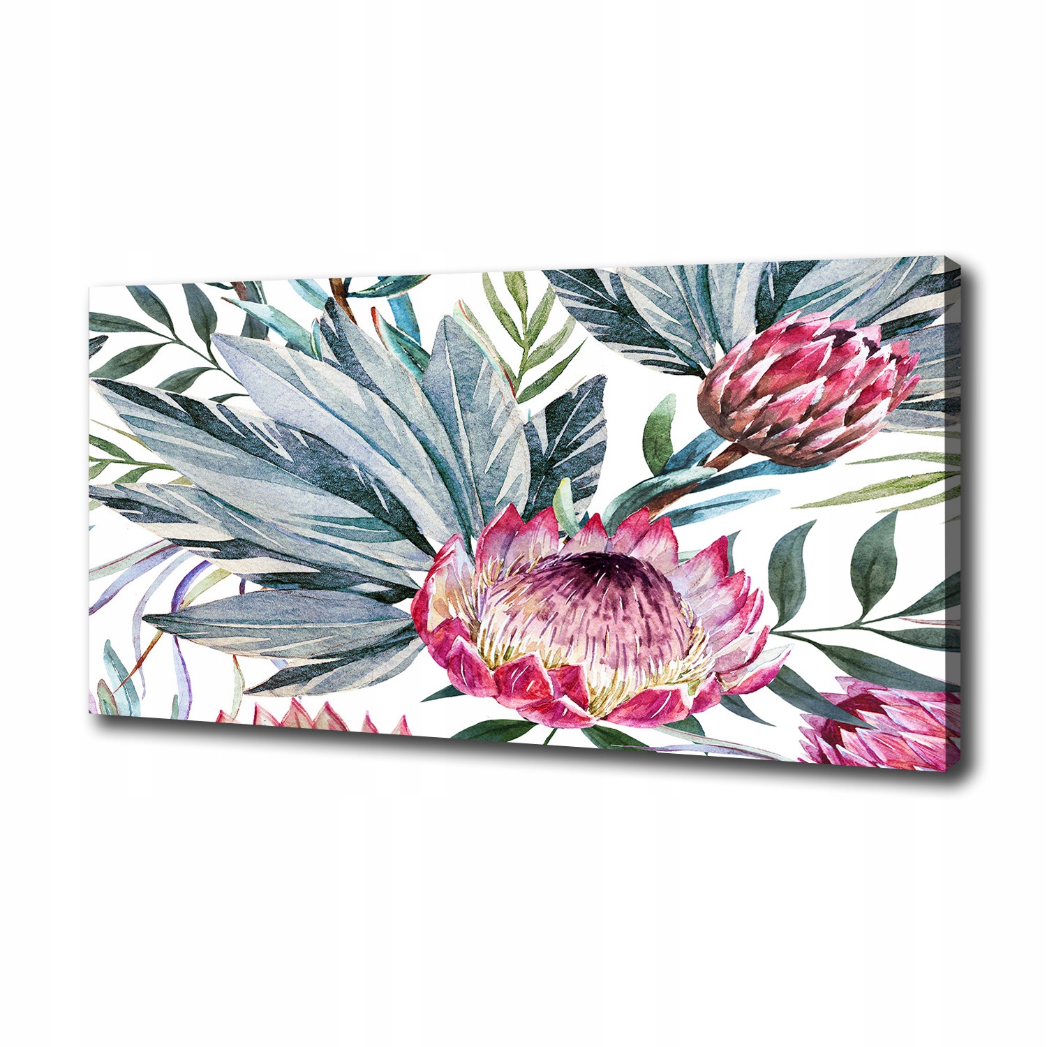 

Duży foto obraz na ścianę canvas Protea 100x50 cm