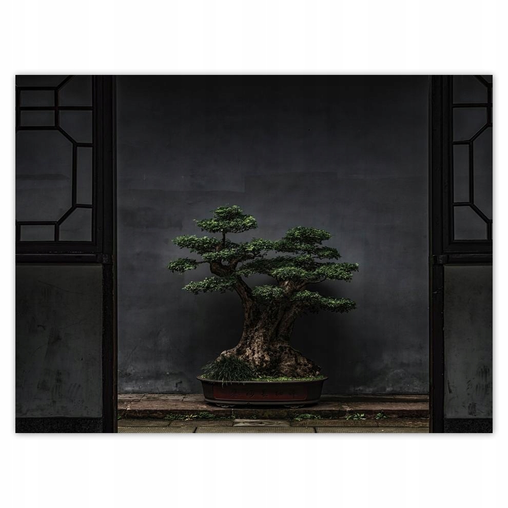 

Plakat 40x30 Bonsai Drzewko Kultura