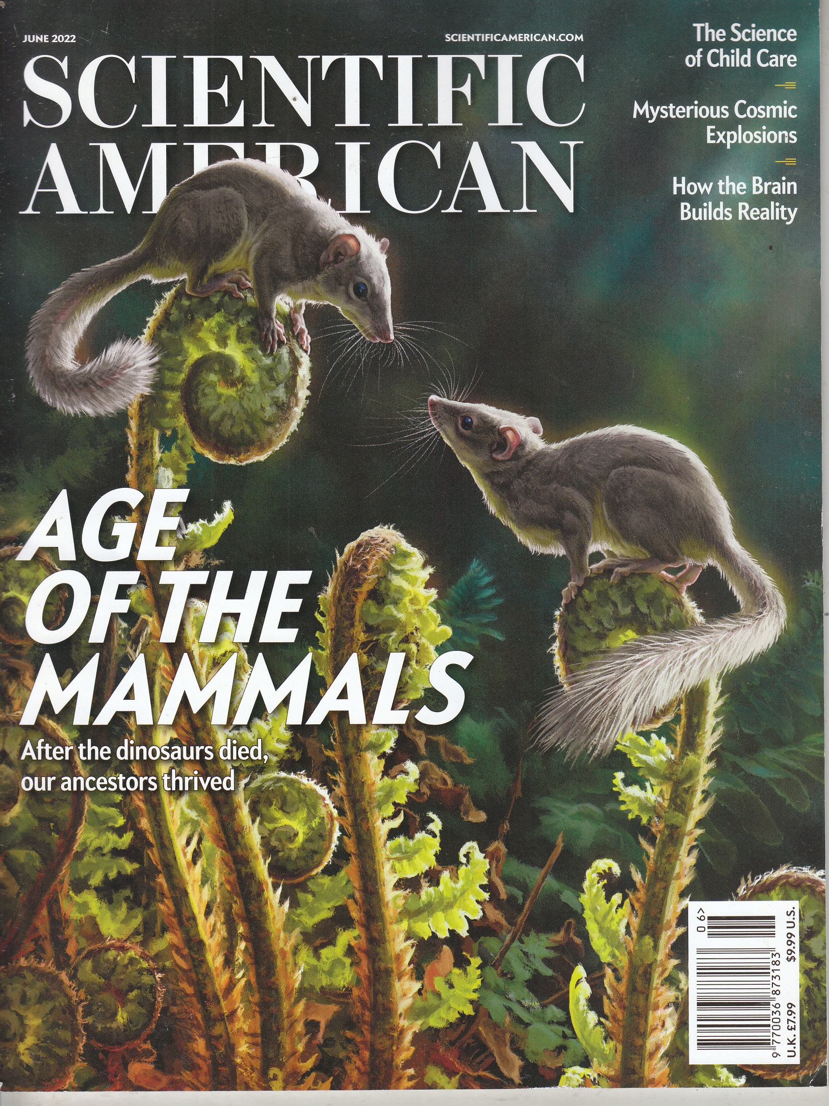 SCIENTIFIC AMERICAN 6/2022 UK
