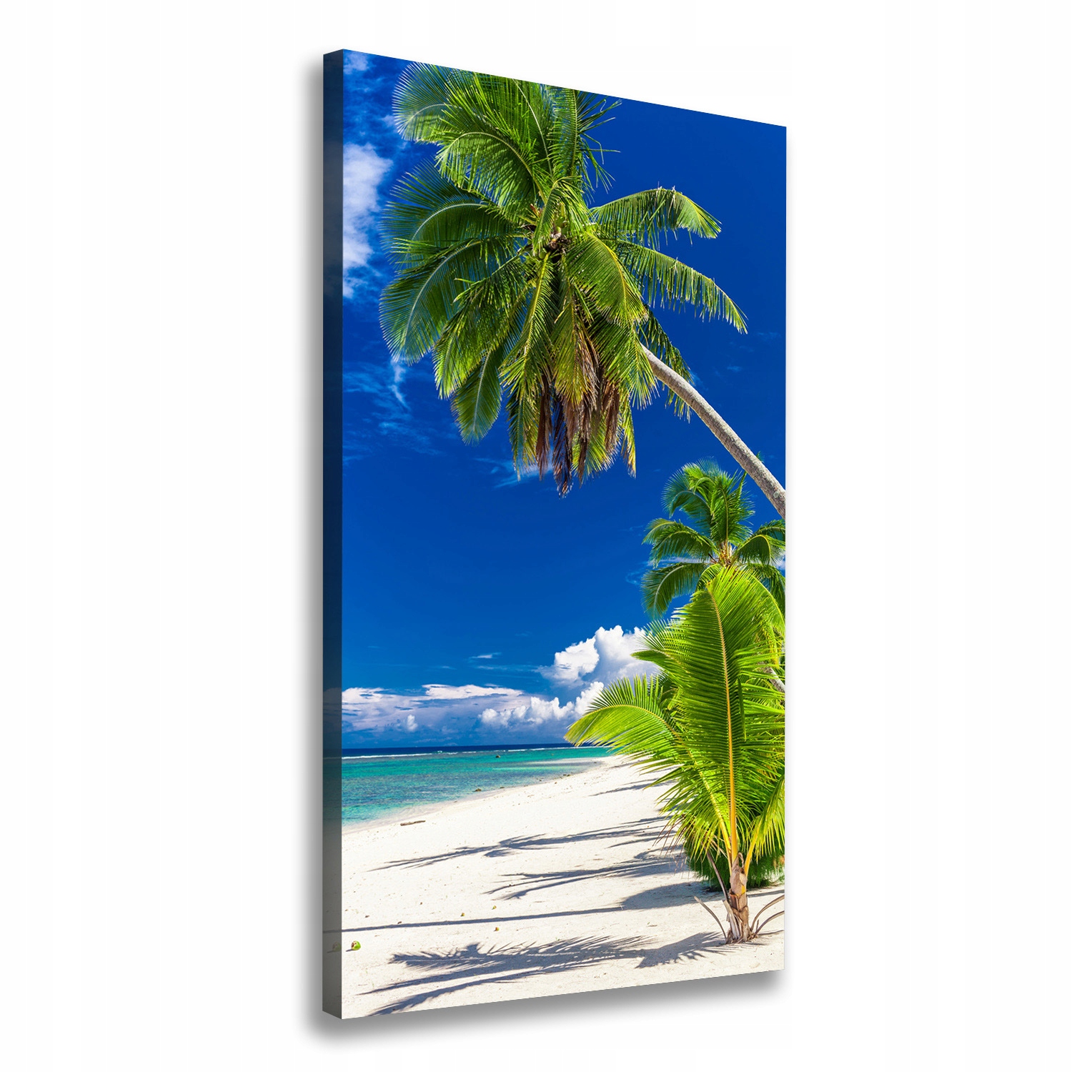 

Foto obraz na płótnie Tropikalna plaża 60x120 cm
