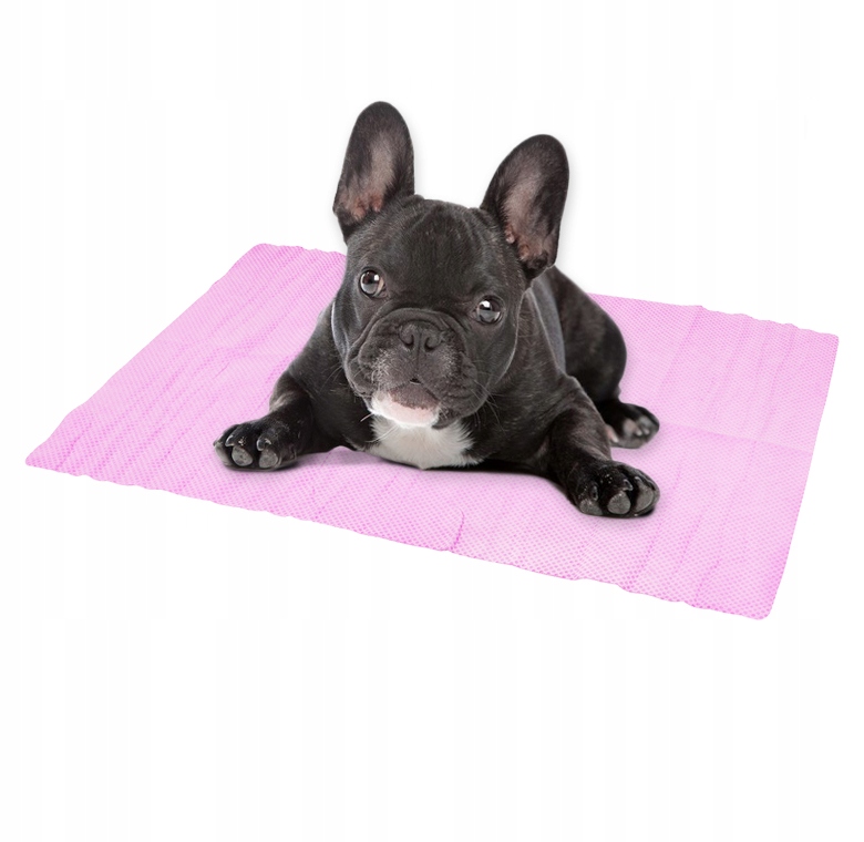 

Mata Chłodząca Dla Psa Kota Zwierząt Legowisko