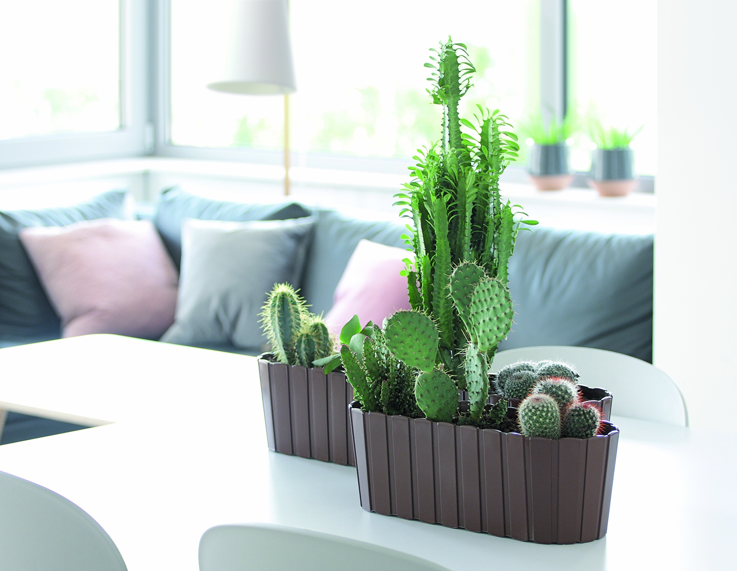 Doniczka podłużna Boardee Case DDEC600 Skrzynka Marka Prosperplast