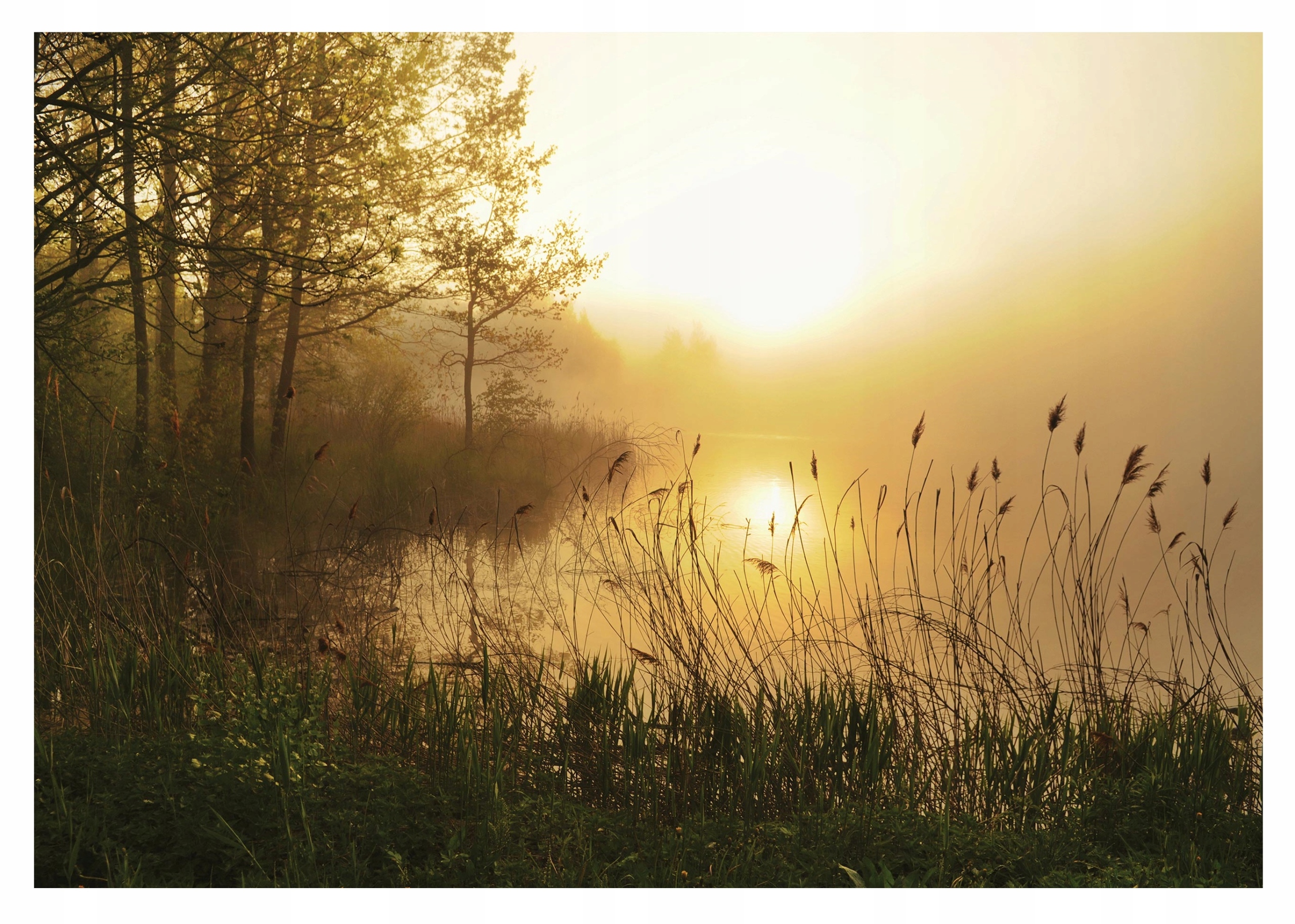 Fototapeta Jezero V Mlze Mlhavé Ráno Do Ložnice Obývacího Pokoje 368x254
