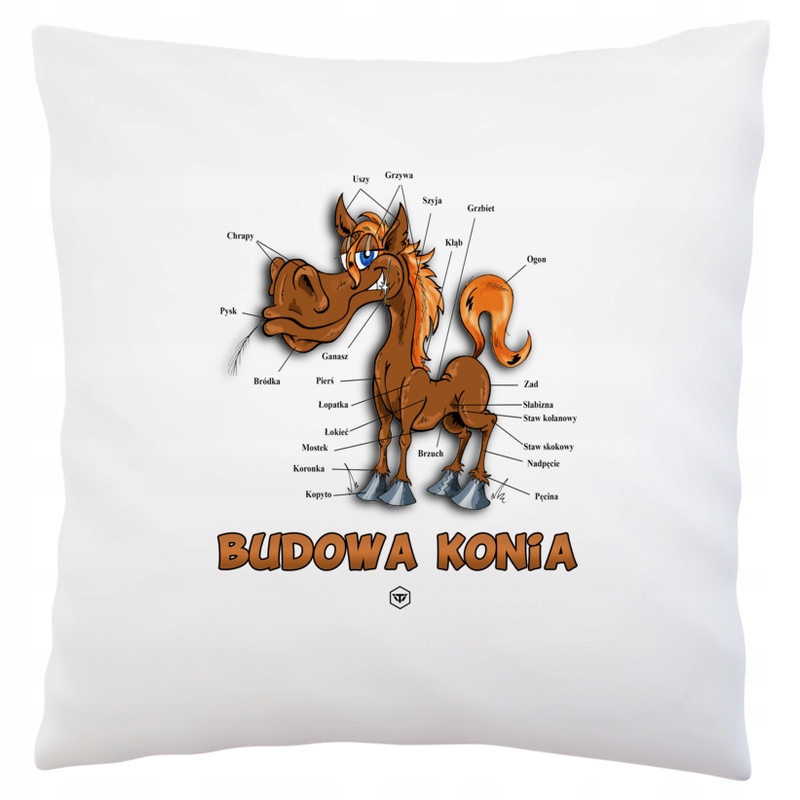 

Budowa Konia Koń Poduszka