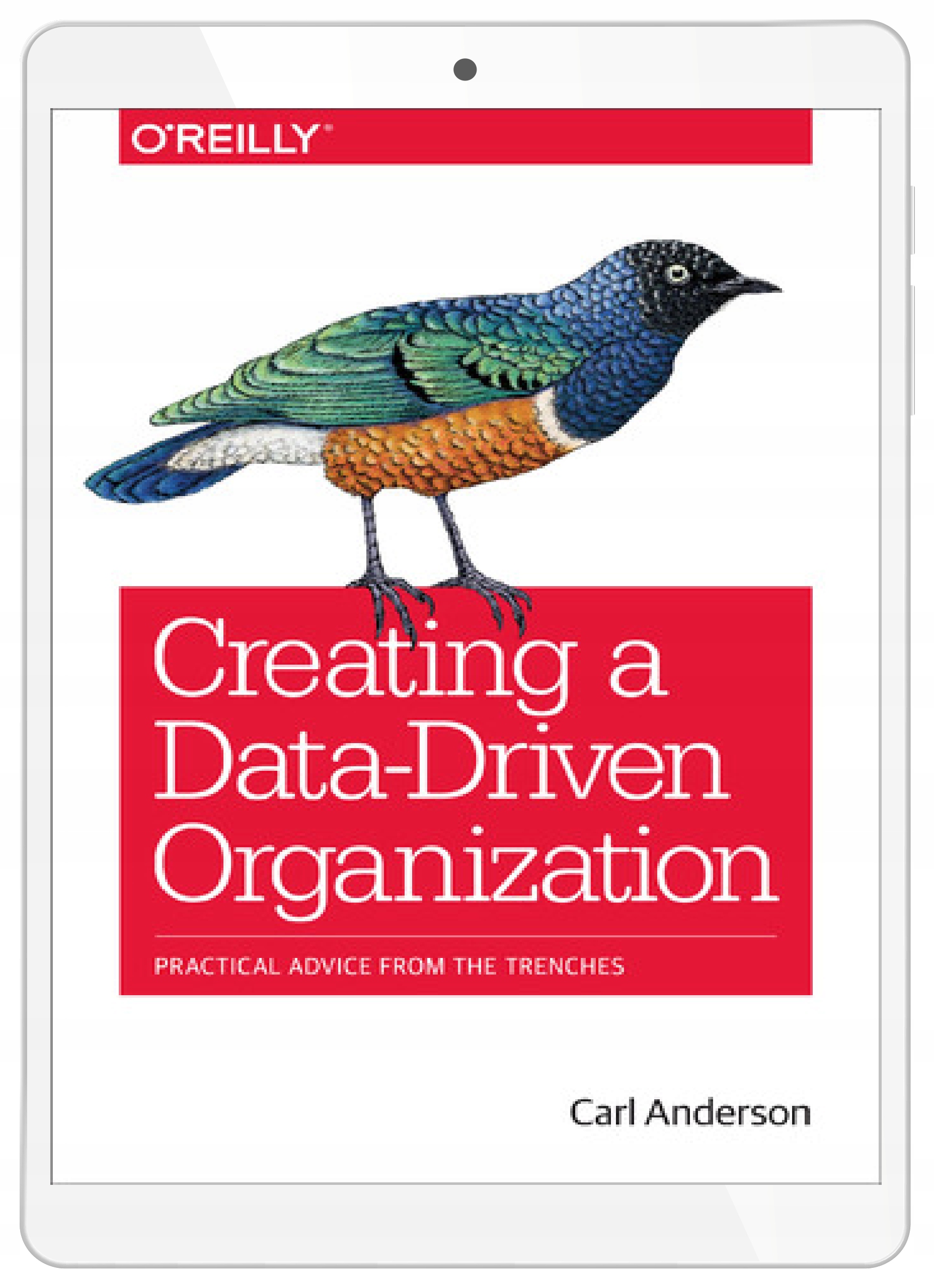 Creating a Data-Driven Organization