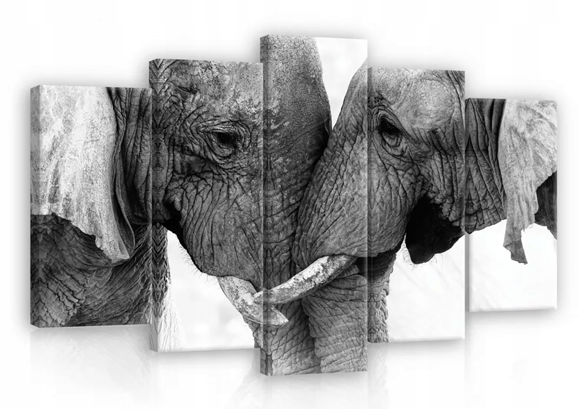 Obraz Na Plátně Canvas 100x60 Slon