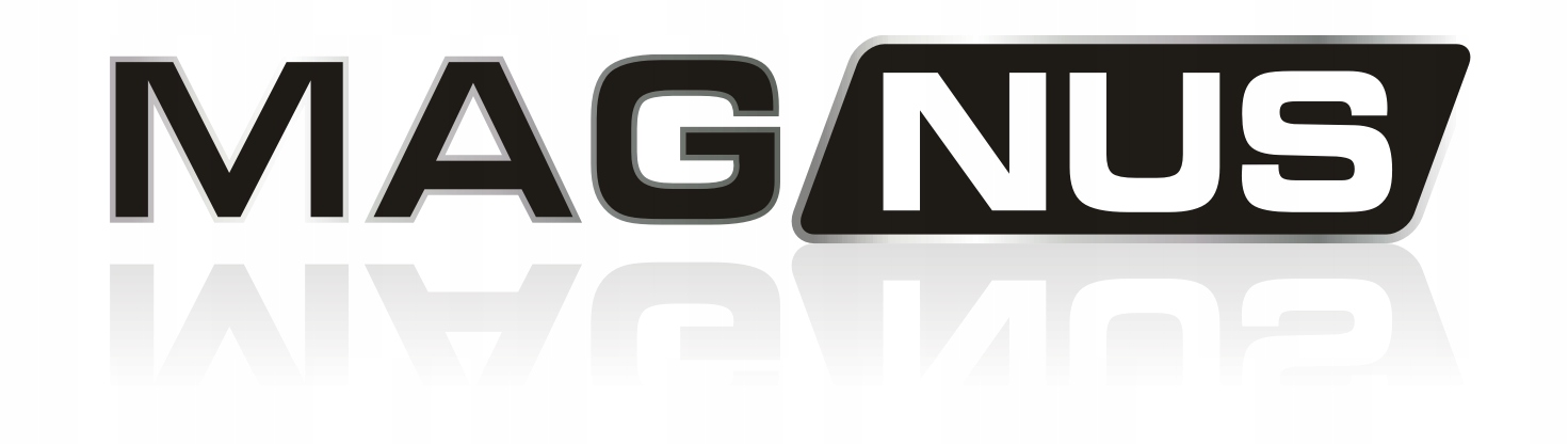 Czujnik zegarowy ze statywem magnet do bicia tarcz Marka Magnus