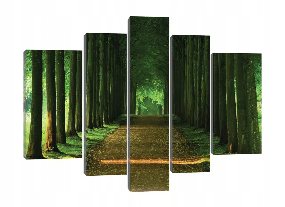 Obraz Na Plátne Canvas 170x100 Las Park Aleja