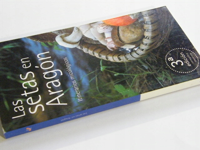 AS SETAS EN ARAGON ITINERARIOS MICOLOGICOS Gatunek Dom i ogród