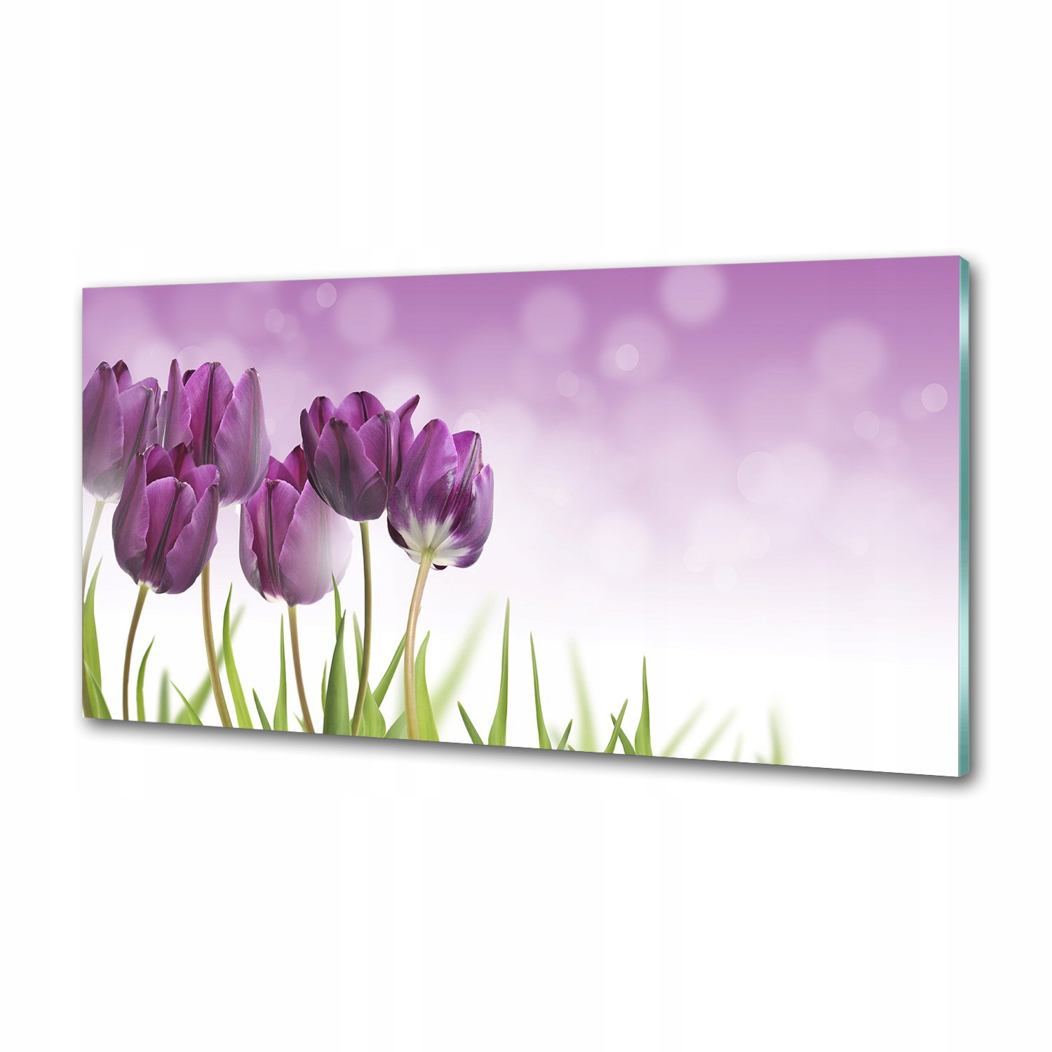 Panel do kuchyne Fialové tulipány 120 x 60 cm Lepidlo
