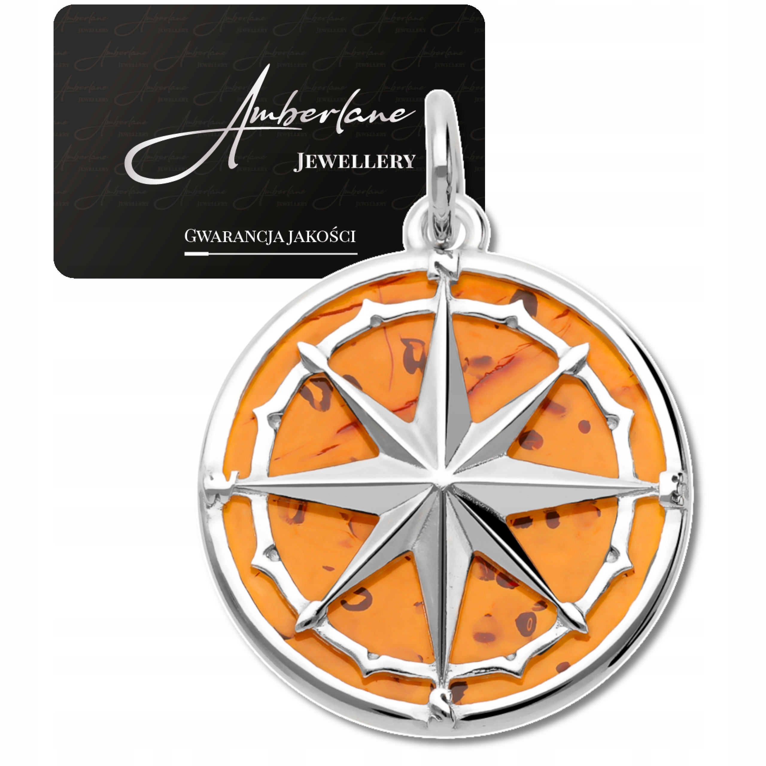 Stříbrný přívěsek Růže Větrů s koňakovým jantarem – stříbro 925