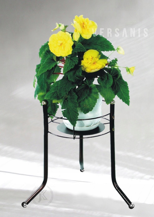 KWIETNIK NA KWIAT, KWIETNIKI 1-KA D VERSANIS 1A Kod producenta 1A