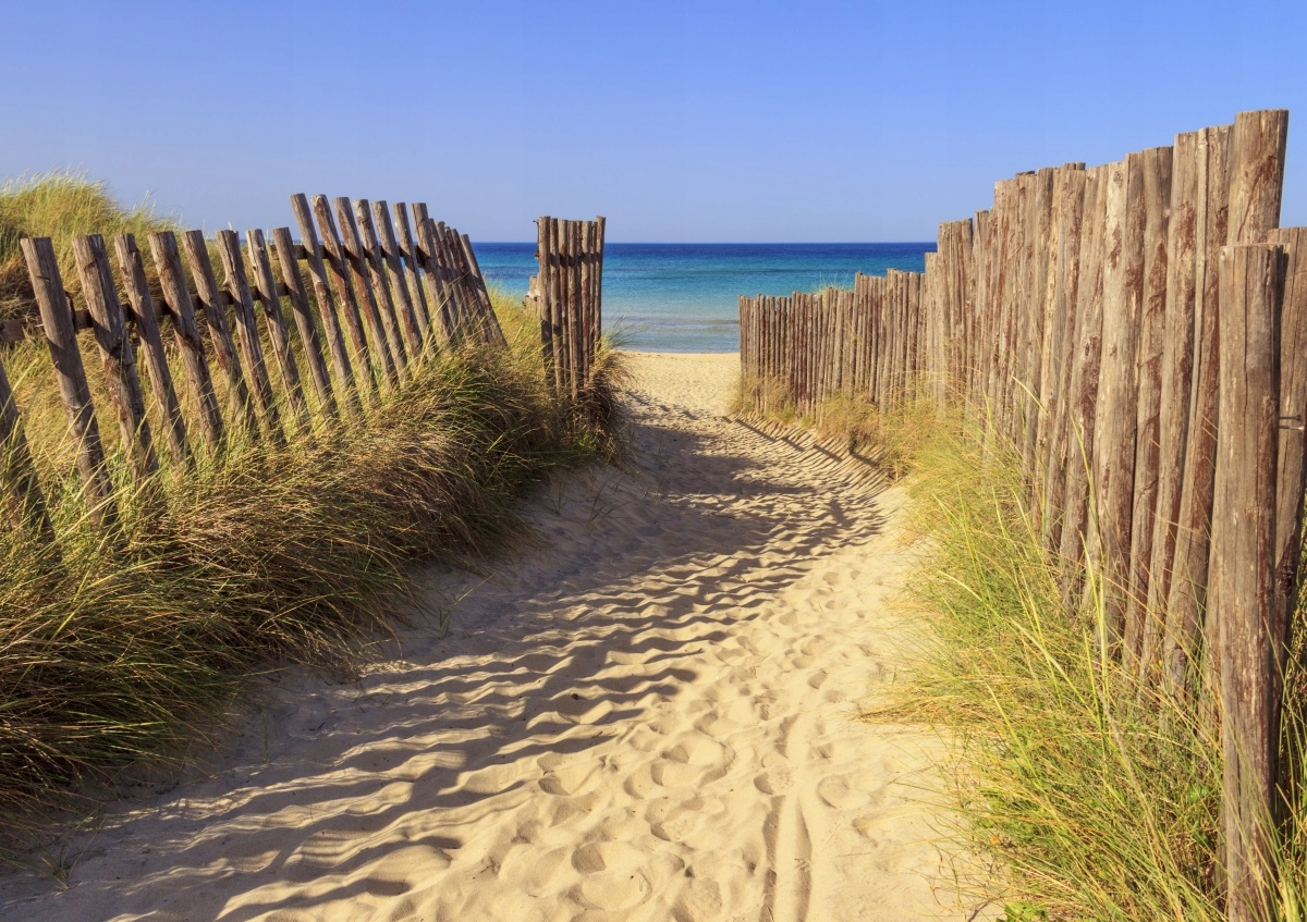 

Fototapeta Flizelinowa Morze Wydmy 208x146