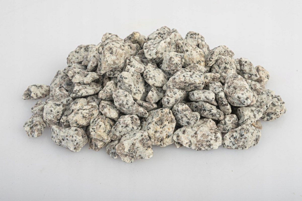 Grys granit dalmatyńczy