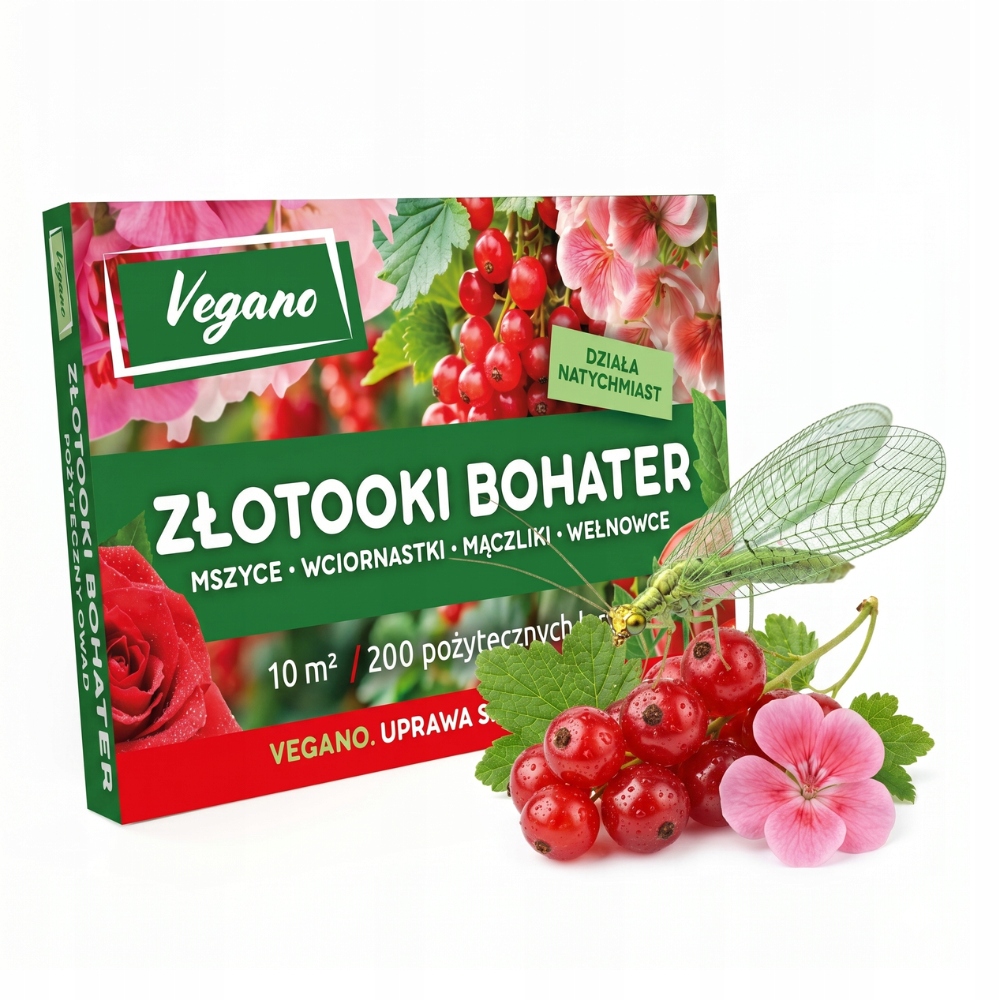 Złotooki bohater na mszyce mączliki wełnowce Vegano 10m2 ochrony 200 larw