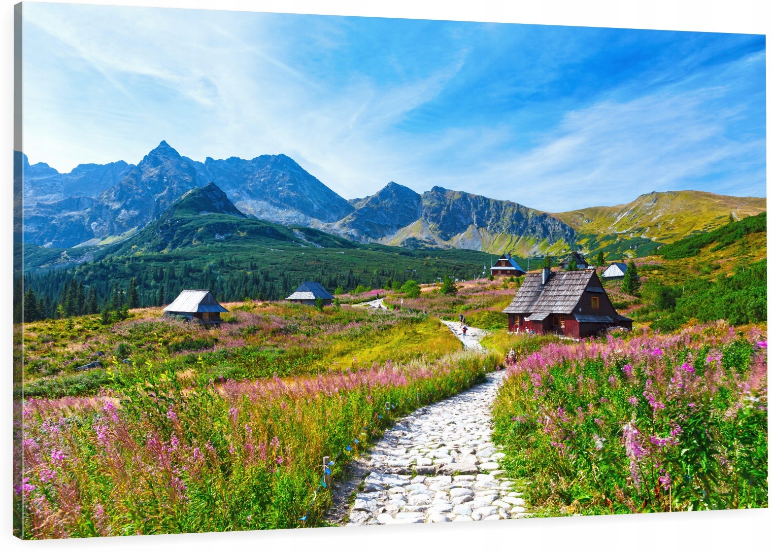 

Obraz do sypialni hala gąsienicowa tatry 90x60