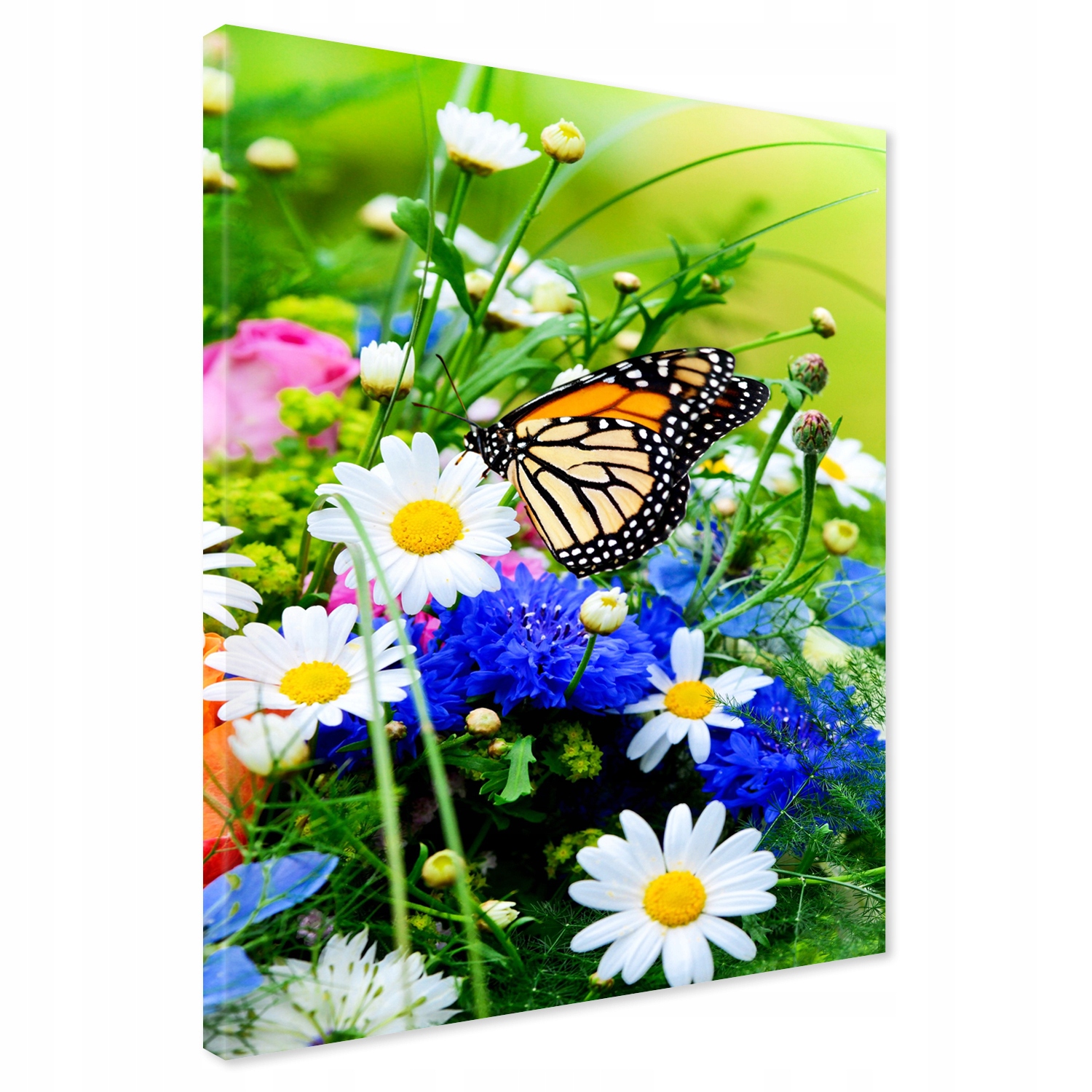 

Obraz na płótnie motyl kwiaty 70x100