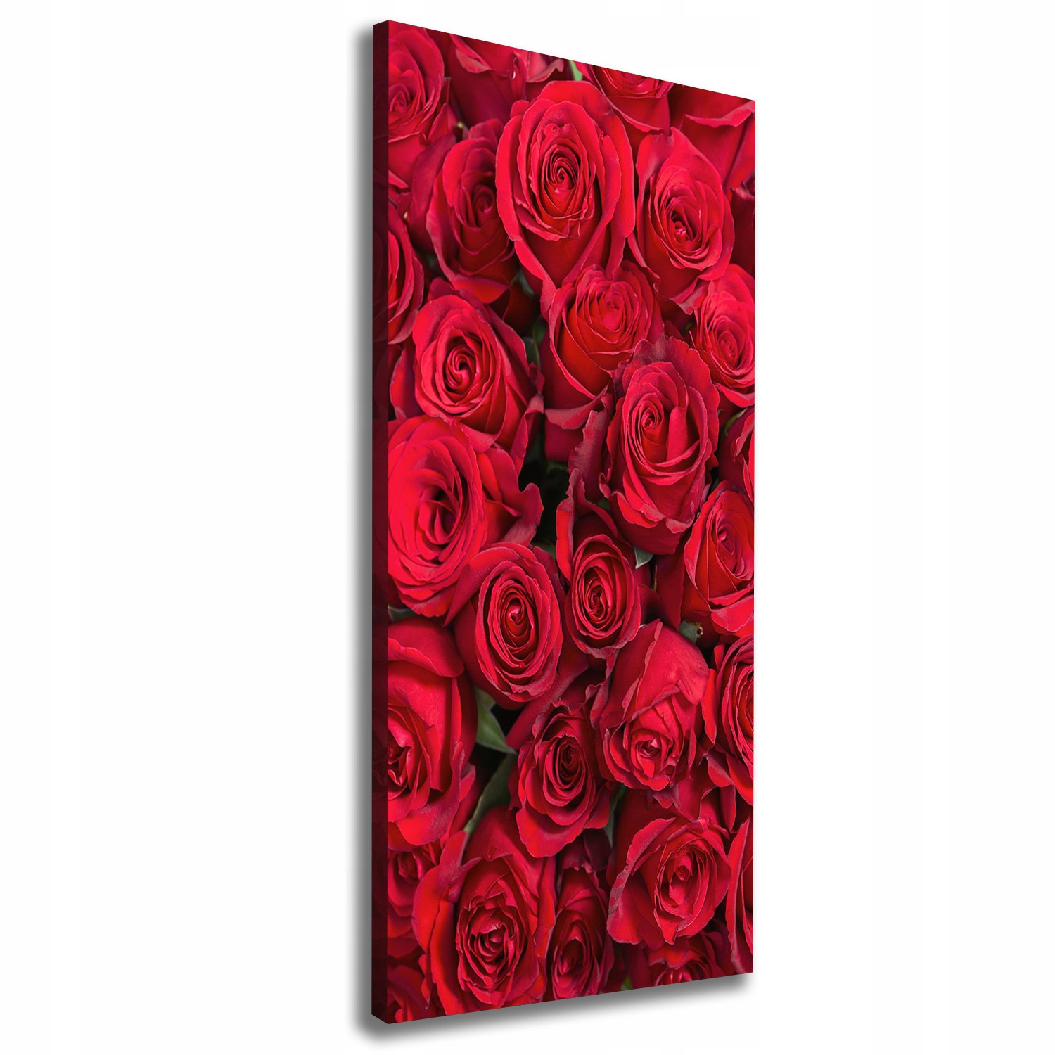 

Foto-obraz canvas do salonu Czerwone róże 50x125cm