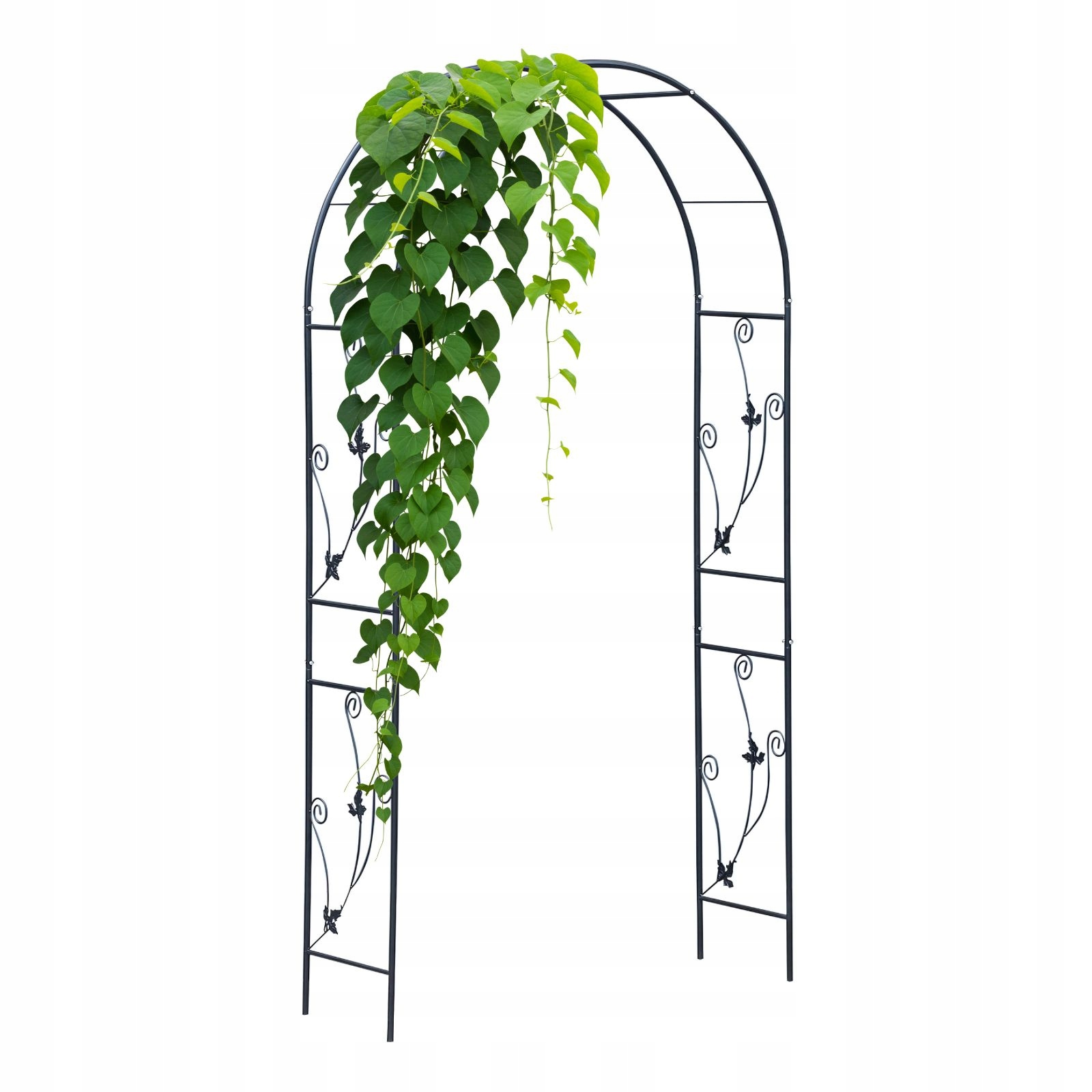 Pergola ogrodowa Botanika Łuk 114x37x230cm Lustan Ogród