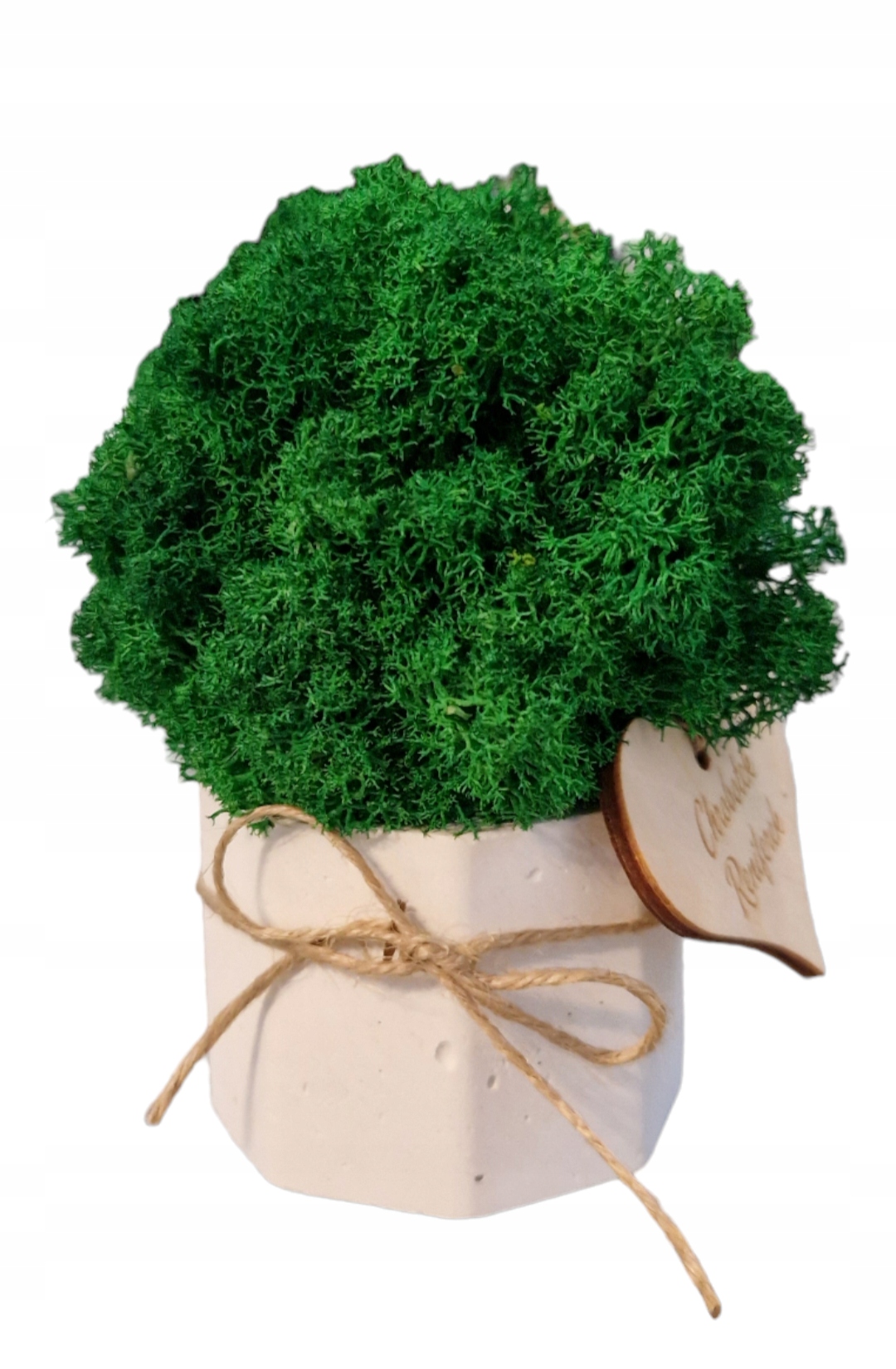 Chrobotkowy las mini w białej betonowej doniczce