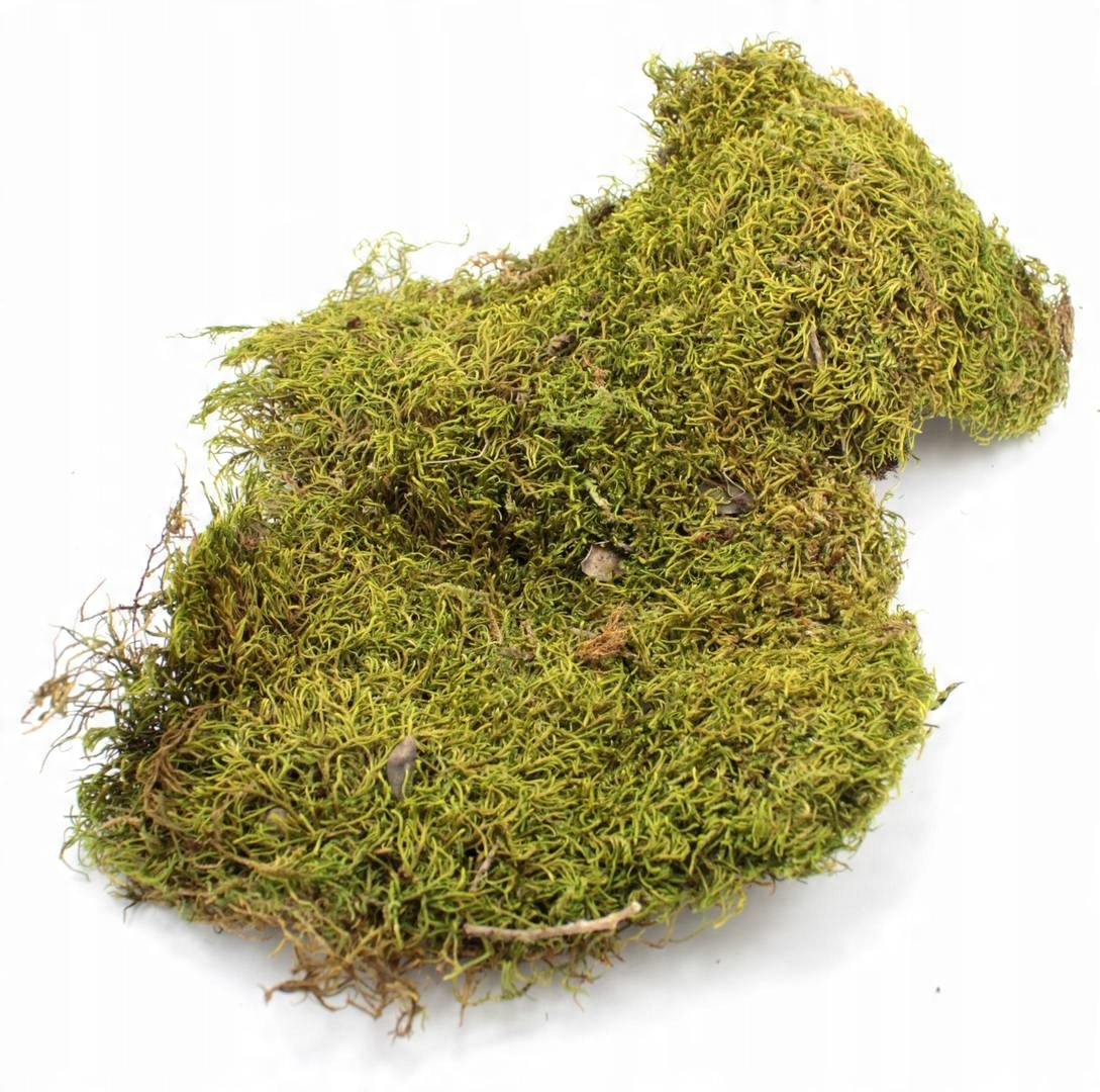 

Mech w płatach Flat Moss 200g