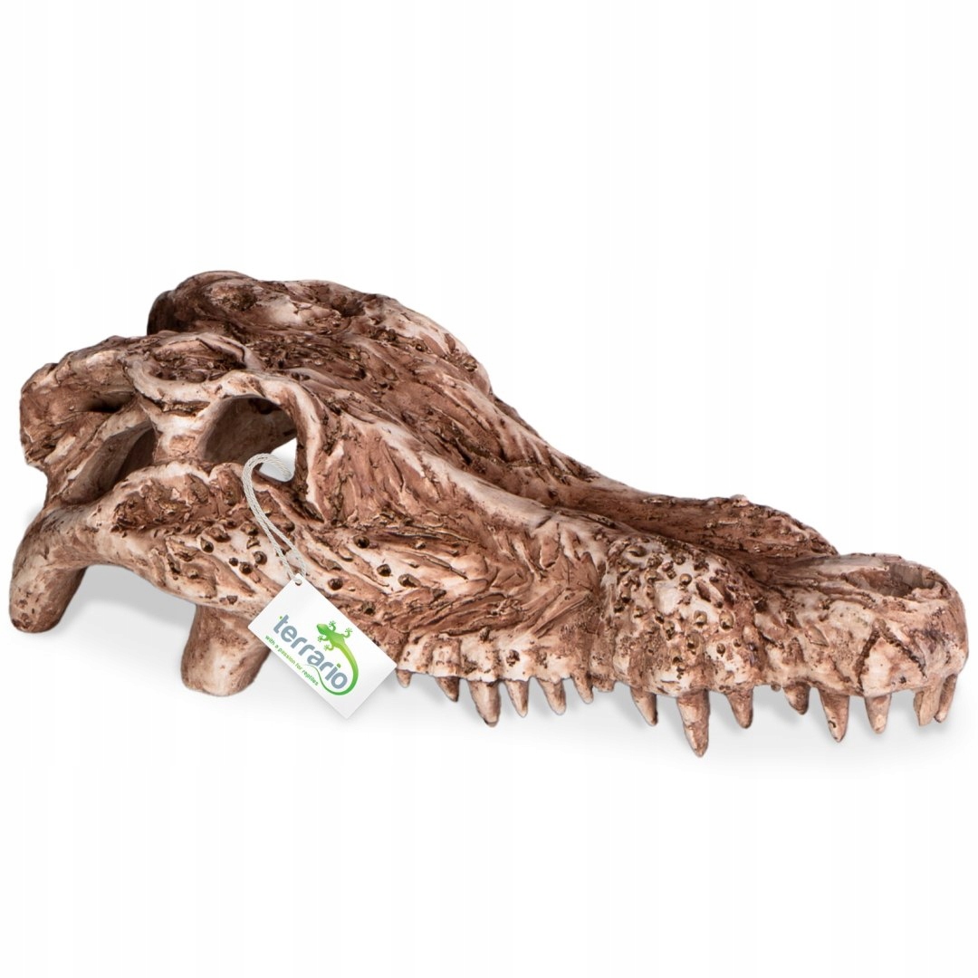 Levně Terrario Crocodile Skull lebka krokodýla do terária 30x14x9 cm