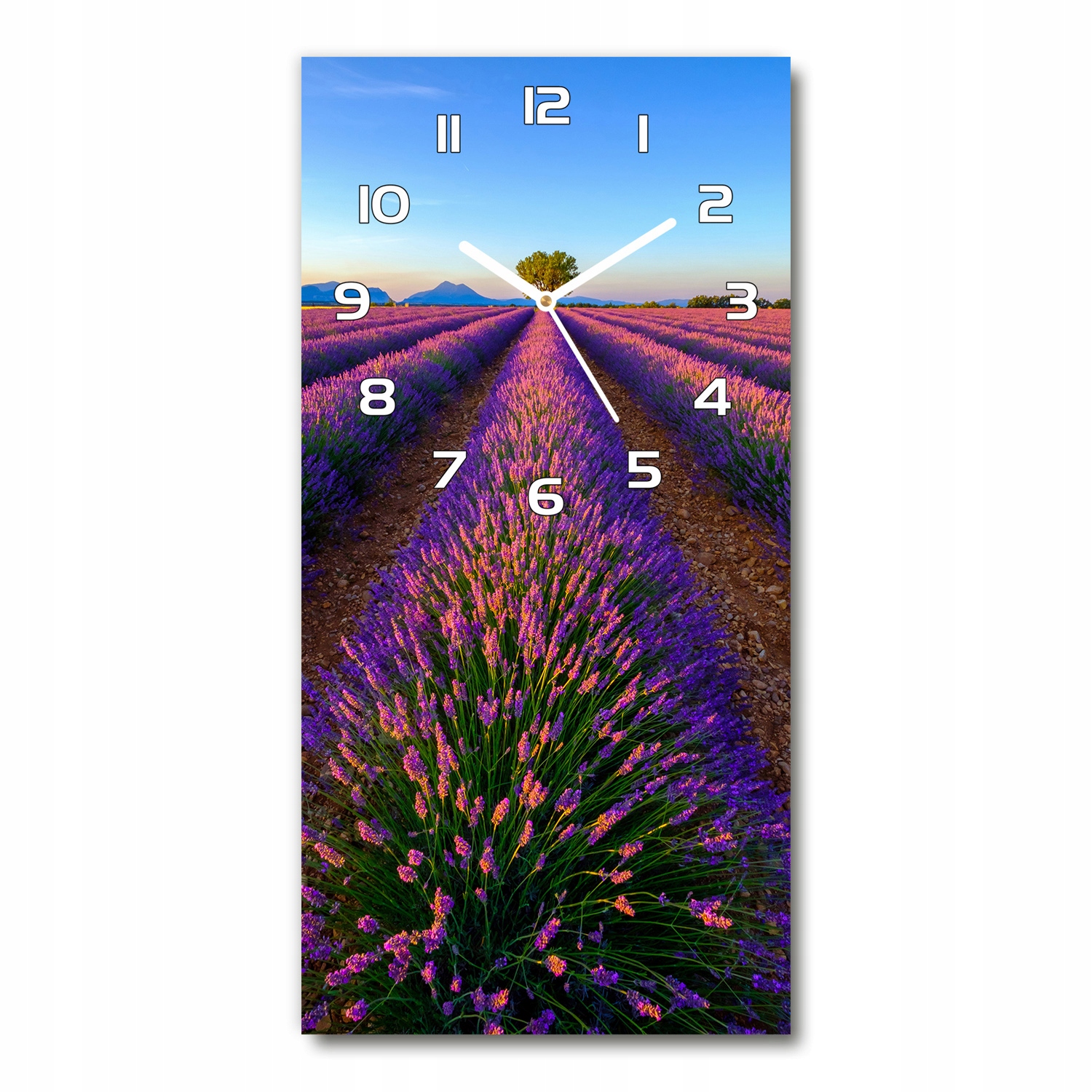 Tichý vertikálny nástenný hodinový stroj Pole levandule 30x60 cm