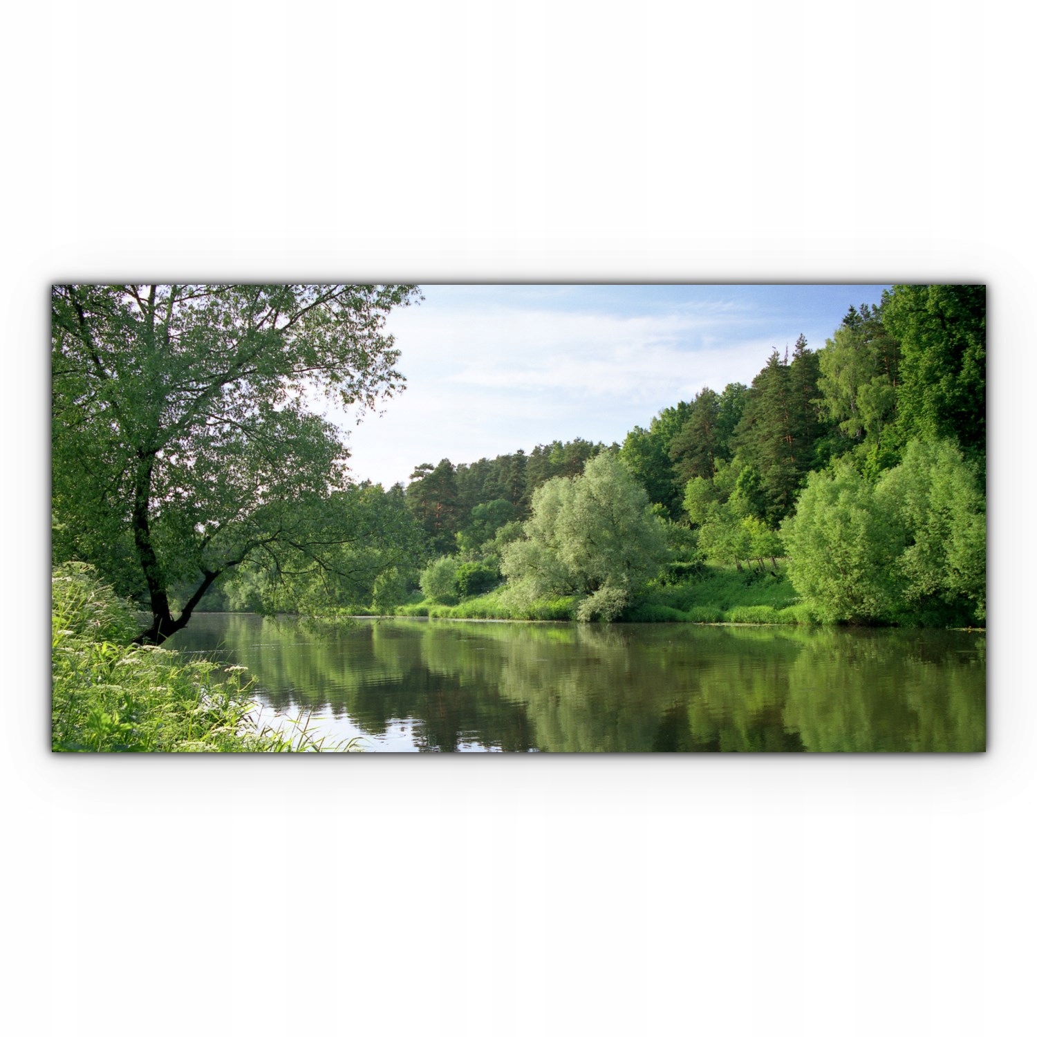 

Obraz canvas na ścianę 120x60 Las Rzeka Krajobraz