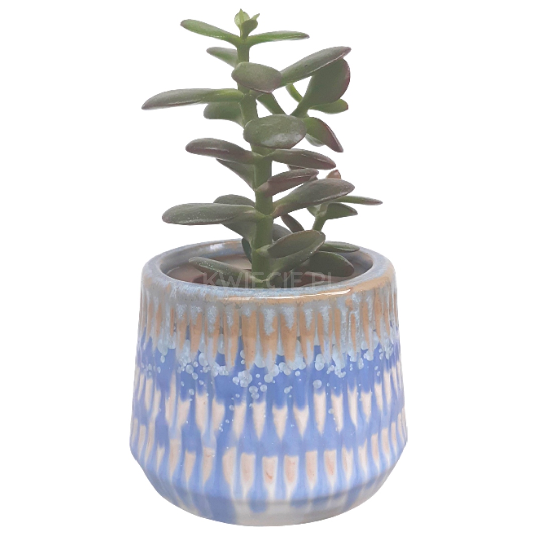 Osłonka CERAMICZNA Doniczka Niebieska Krem Ø 9 cm EAN (GTIN) 5902641907371