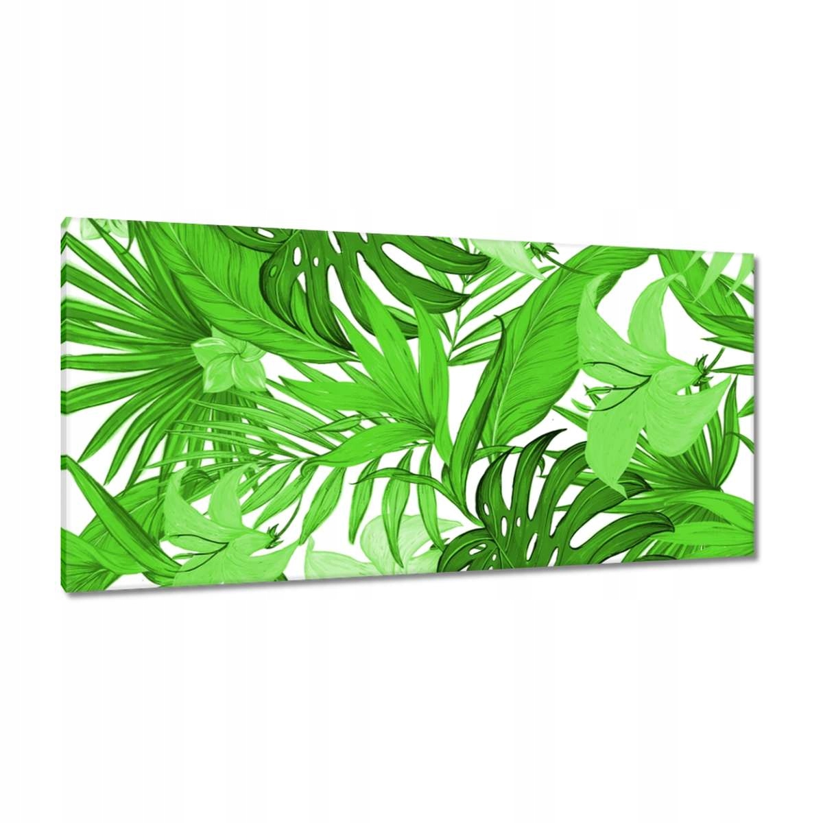 Obrazy 115x55 Leaves Monstera Nový vzhled