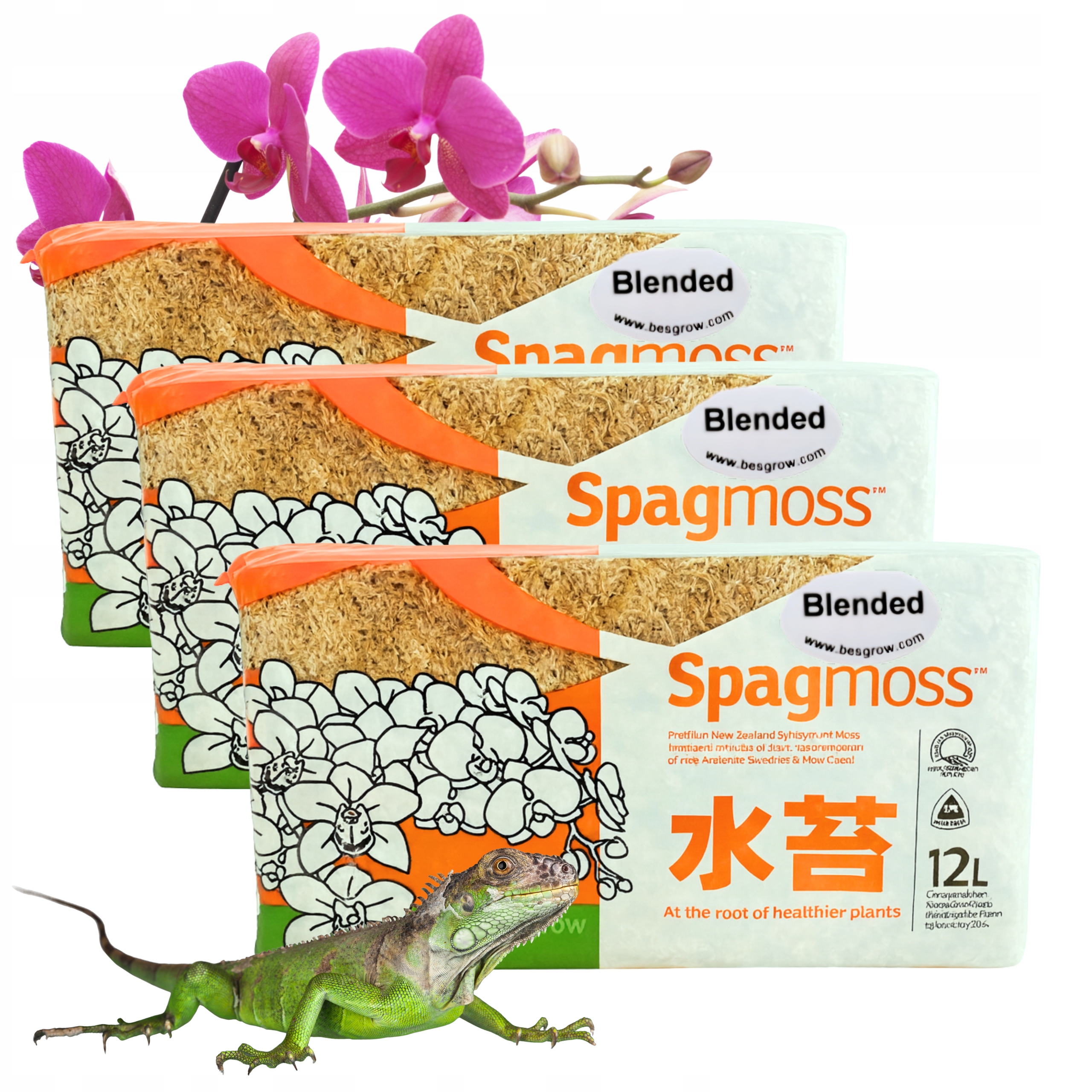 Mech Sphagnum Rašelinový Besgrow SpagMoss 3x 150g 12L Mech Spagnum Substrát