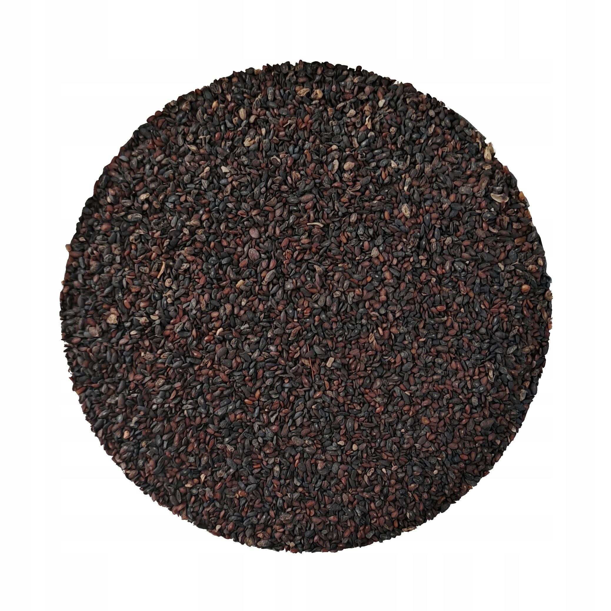 Levně Semena vejčité bábovky Jitrocel vejčitý Semena Che Qian Zi Plantaginis 1 kg