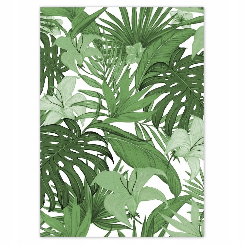 

Naklejki 50x70 Monstera Nowoczesny wzór