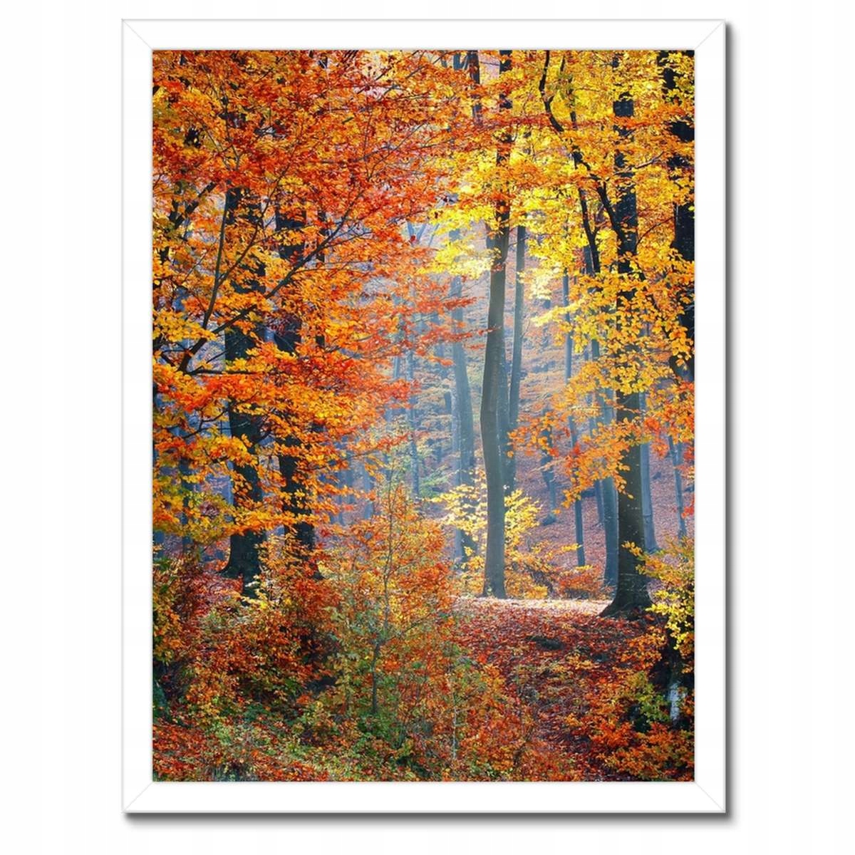 Plakáty v rámu 30x40 Zlatý podzim
