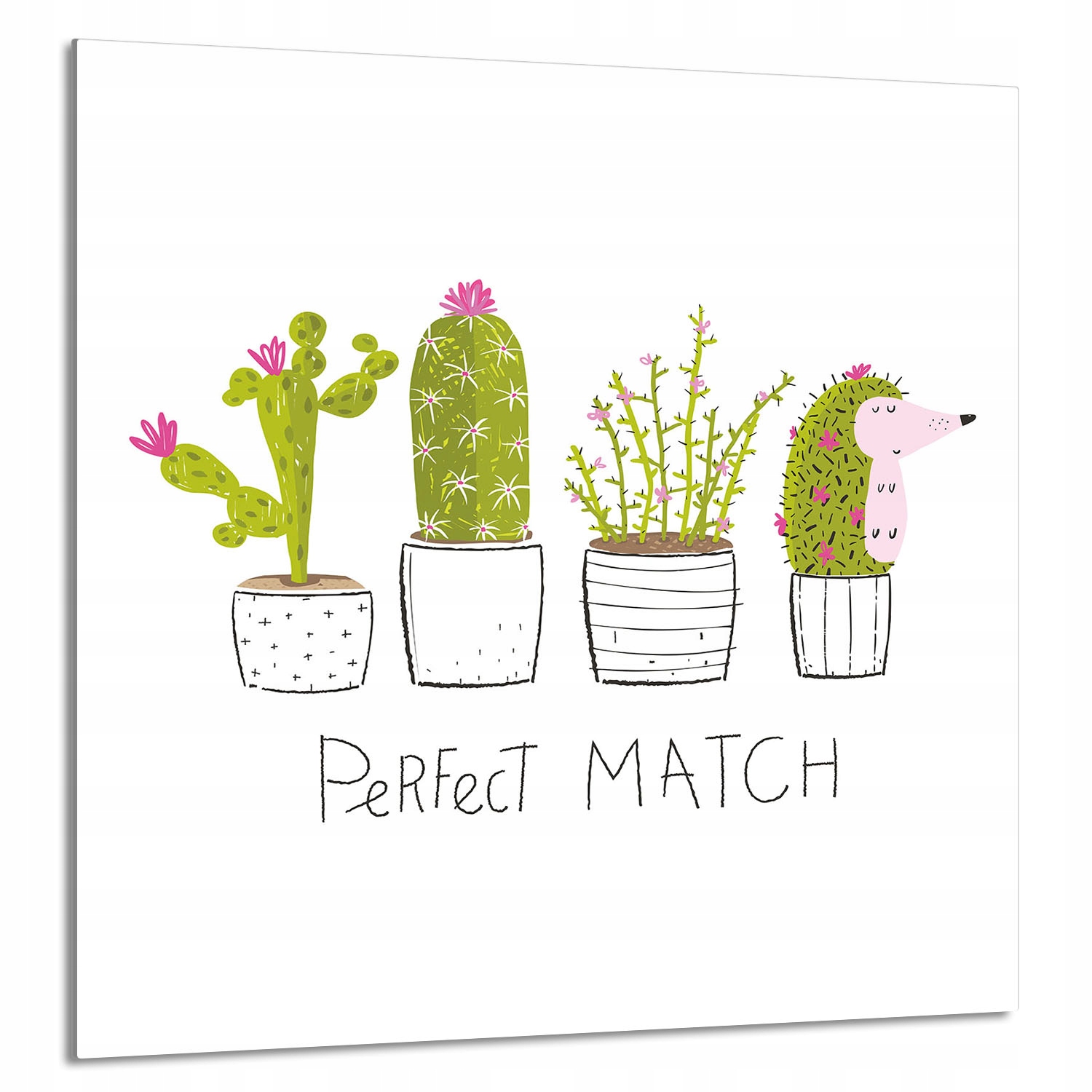 Skleněný Panel Do Kuchyně 60x65 Kaktus Tvrzené Sklo