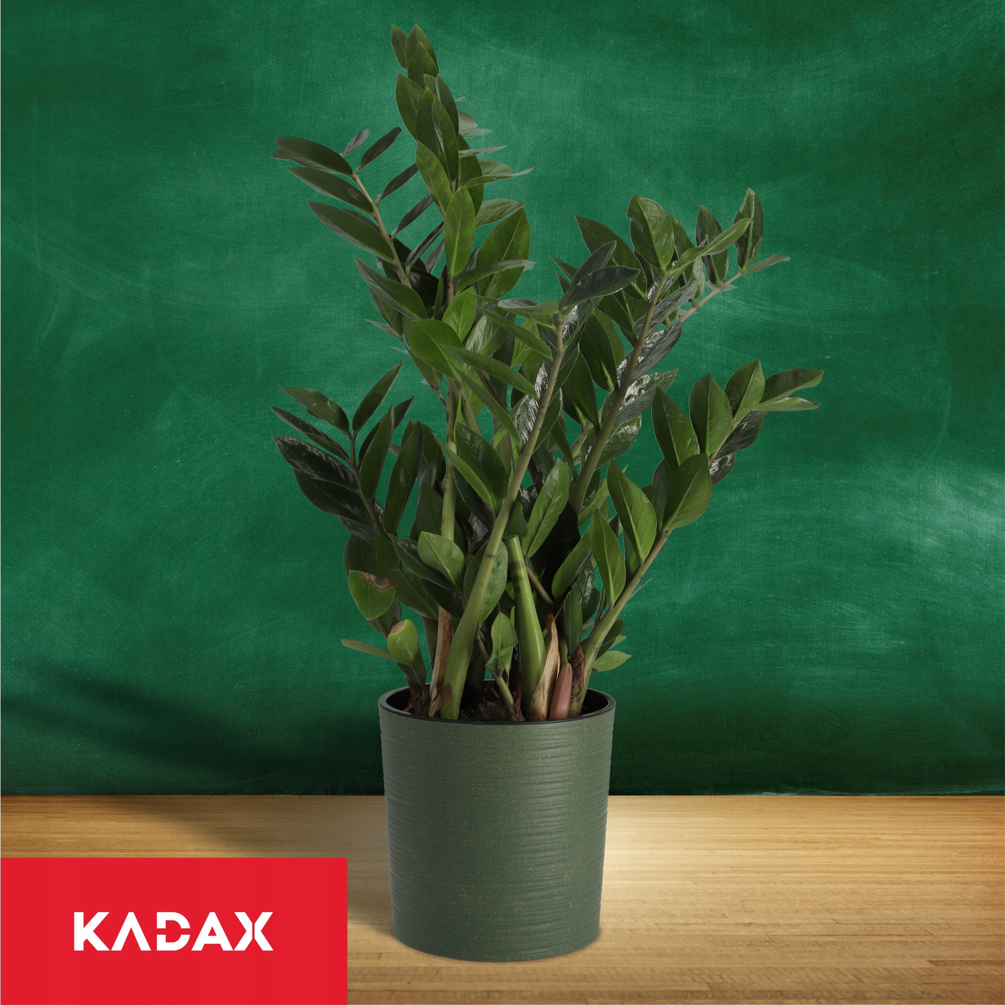 DONICZKA OSŁONKA DONICA MISA NA KWIATY KOLORY 30cm Kształt okrągły