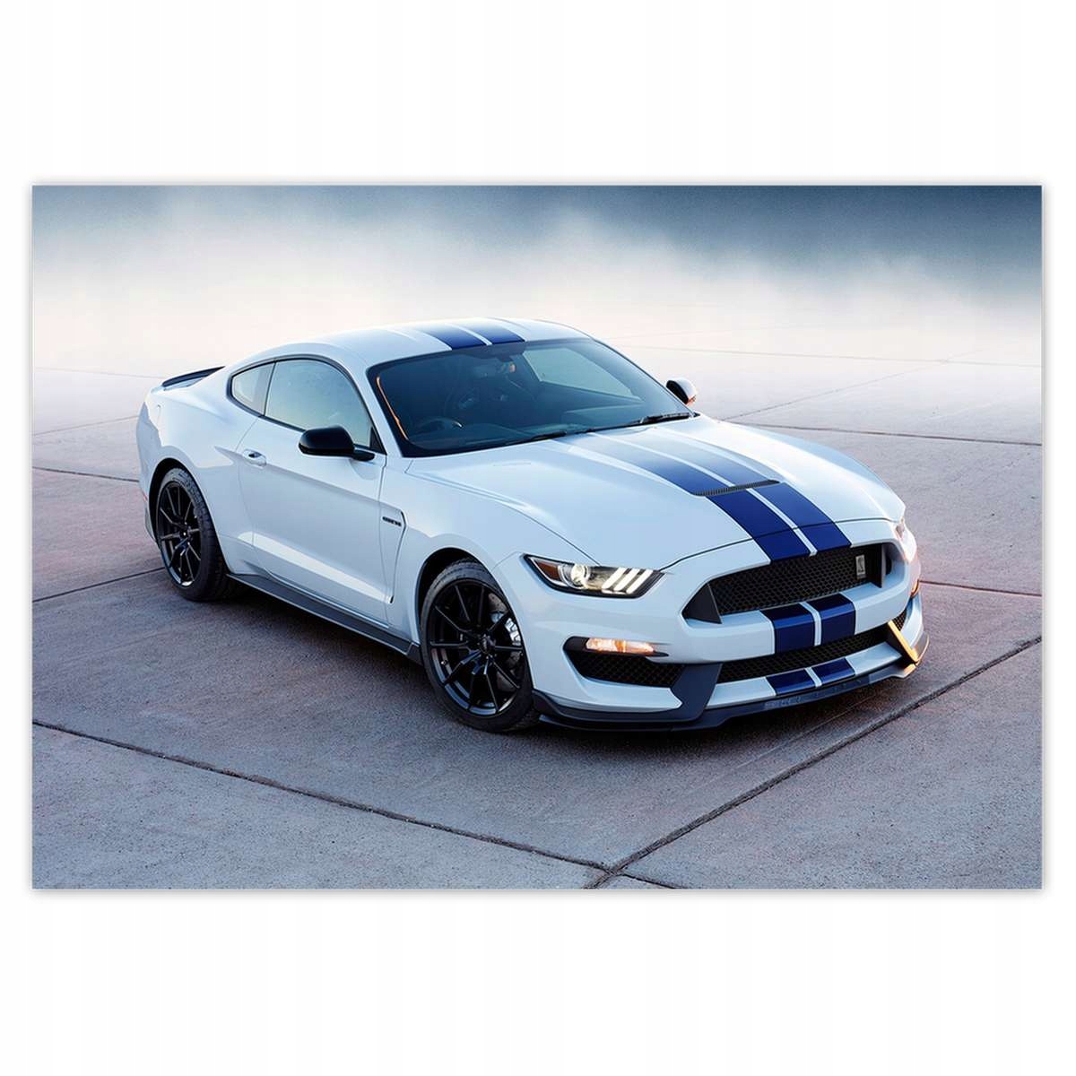 Fototapety 416x290 Ford Mustang Shelby