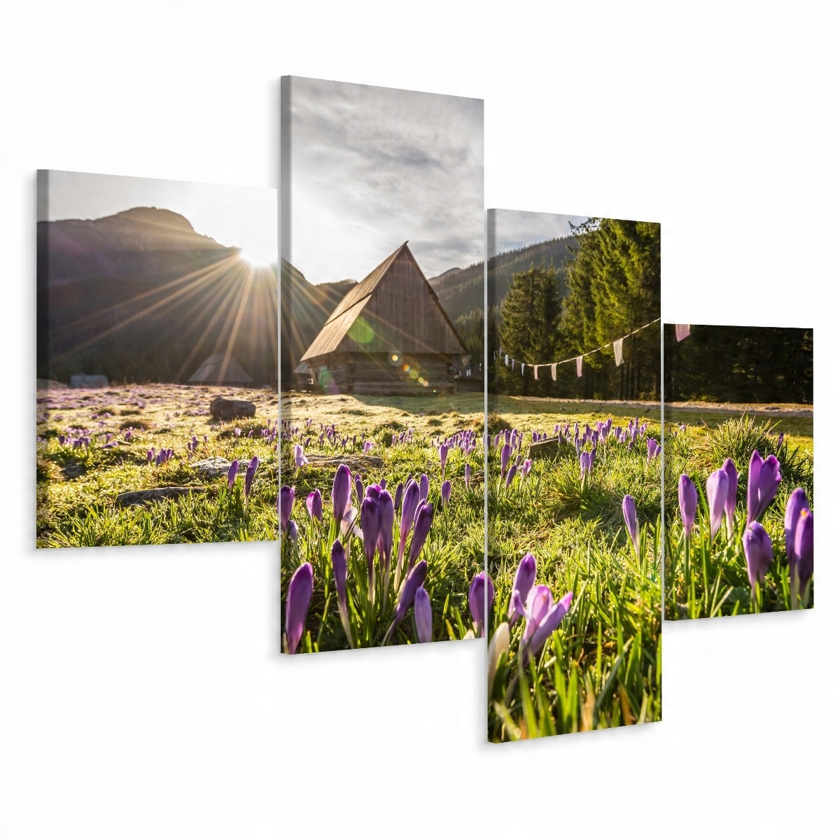 

Obraz 4-Częściowy Tatry Kwiaty Pejzaż 3D 160x100