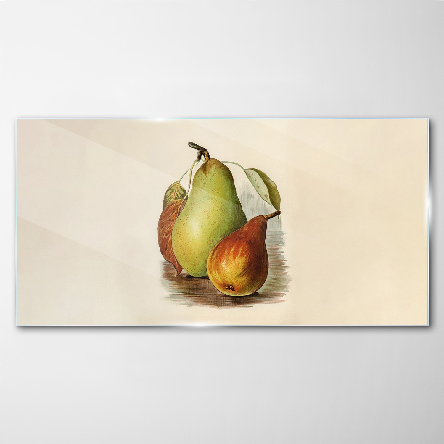 

Foto-obraz szklany Owoce gruszki liście 140x70 cm