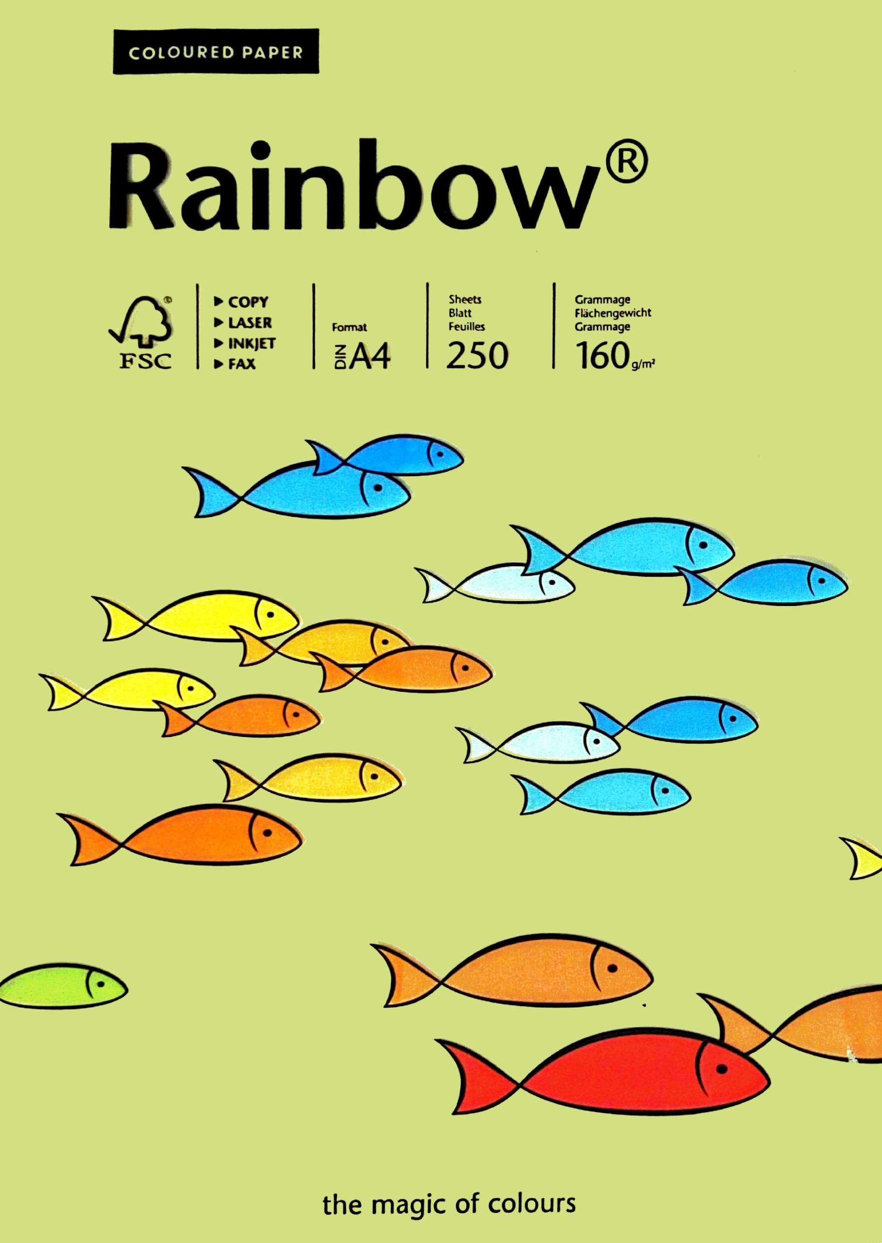Papier Kolorowy Rainbow A4 160g Ksero Jasno Zielony Jasny 74