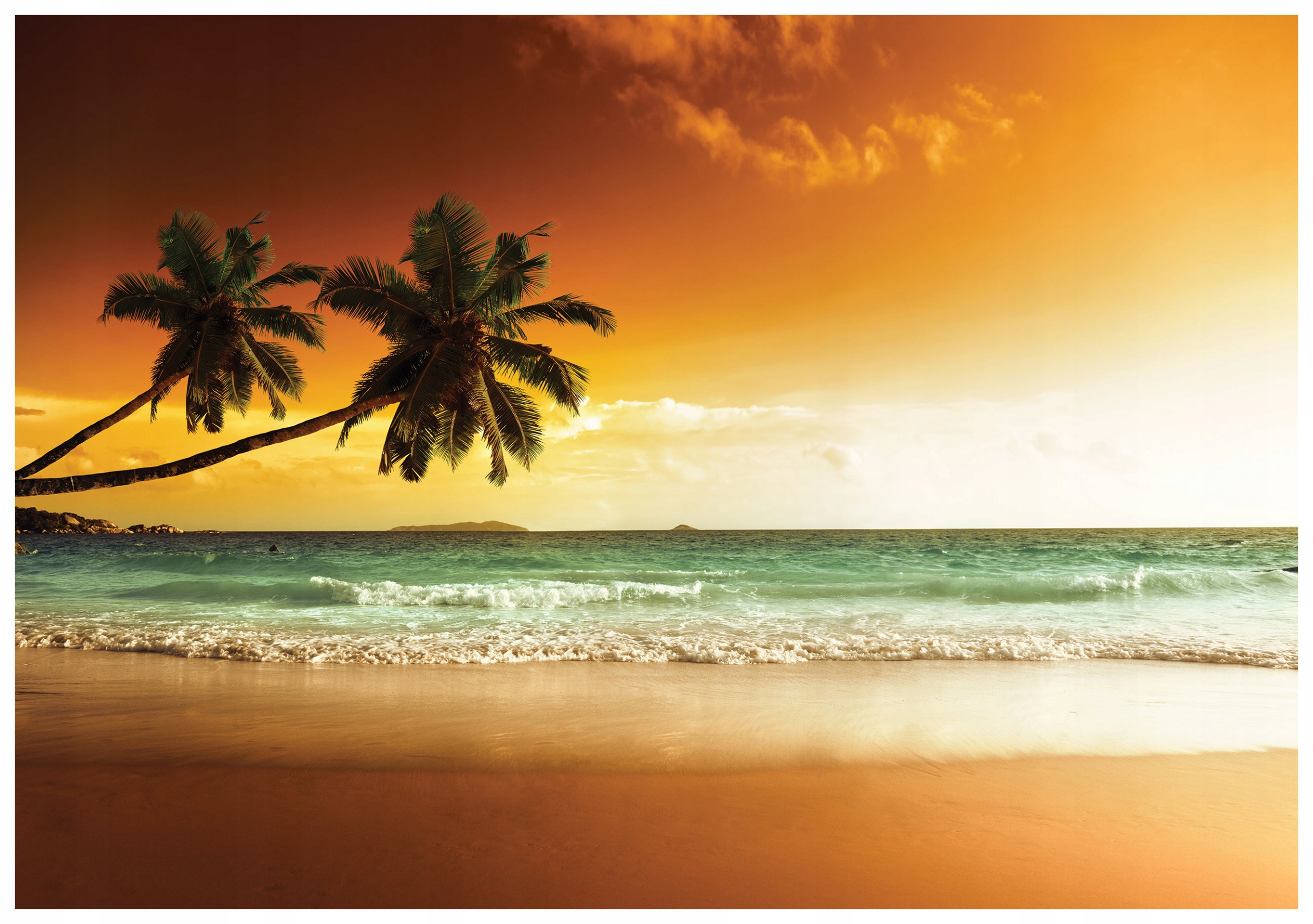 Fototapeta Palmy Pláž Relax Světle Modrá vinylová 416x254 lepidlo