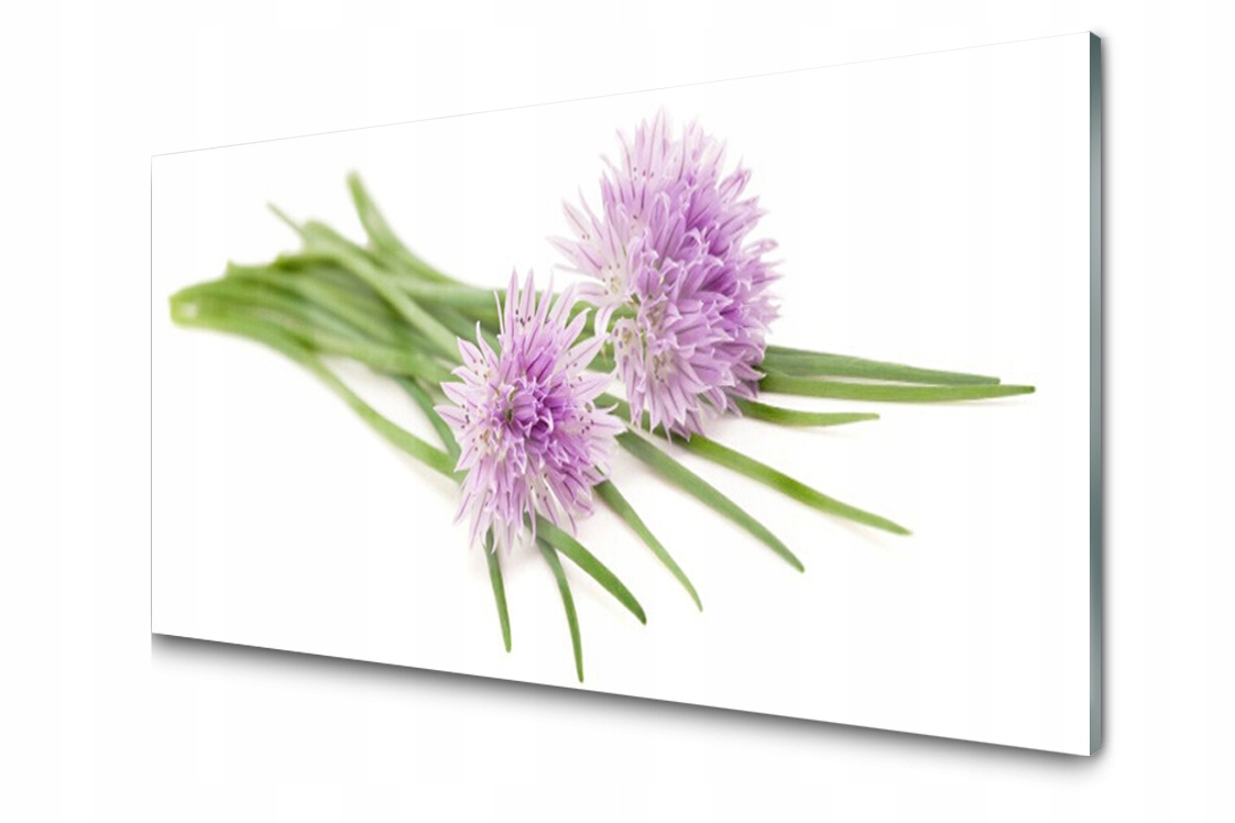 

Panel szklany Płytka Kwiaty Roślina 100x50