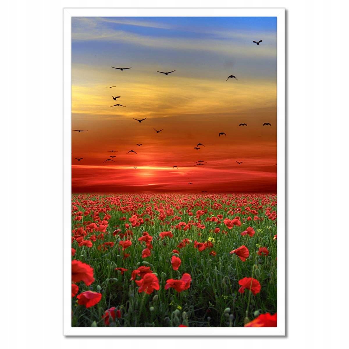 Plakáty v rámu 40x60 Krajina Pohled