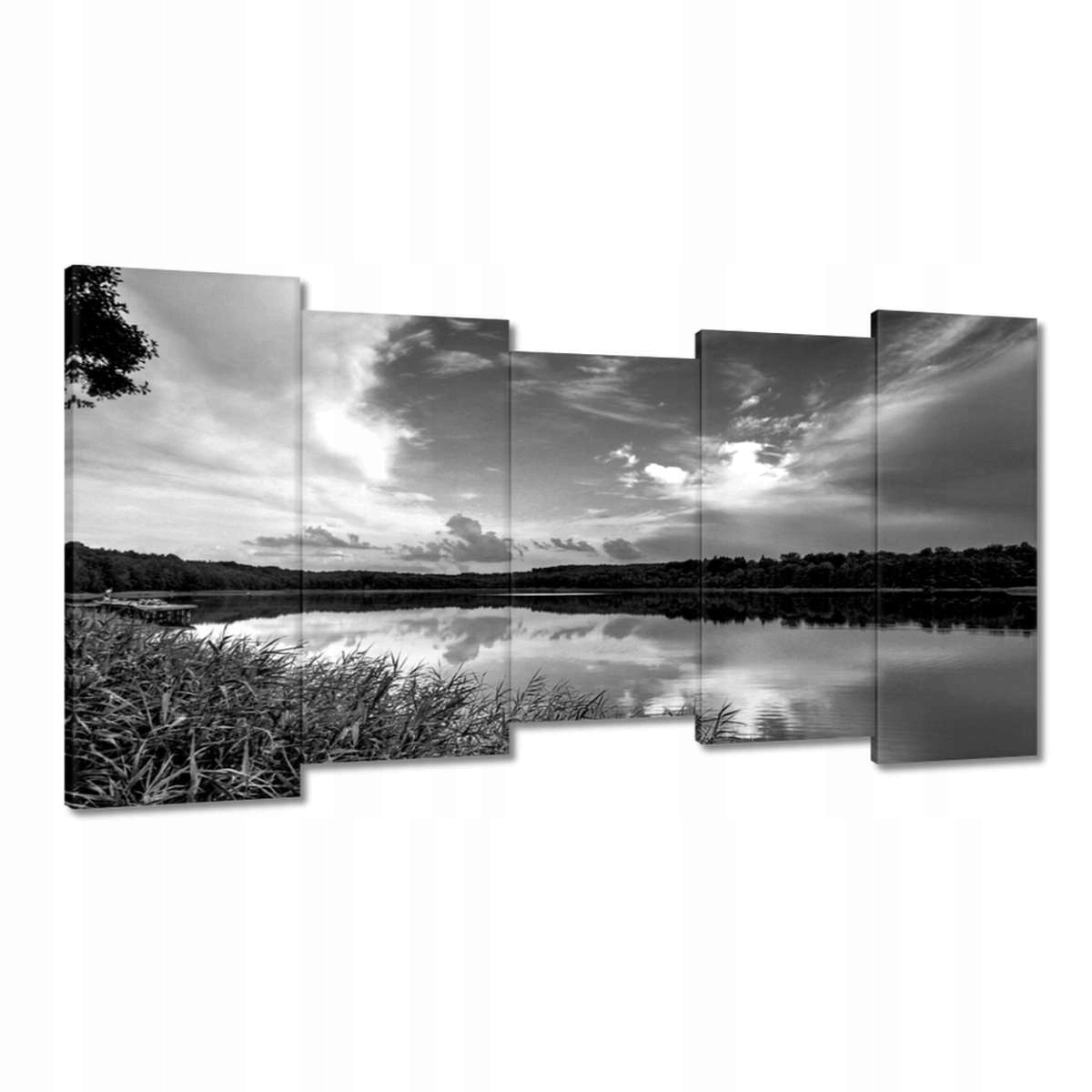 Obrazy 150x80 Černobílá fotografie