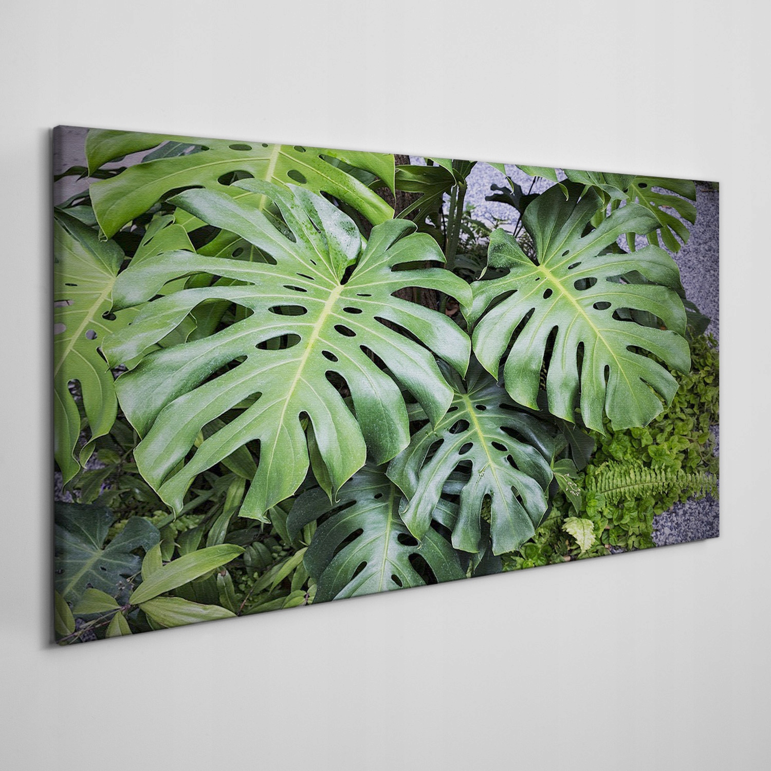 

Obraz na płótnie Botaniczne rośliny liście 120x60