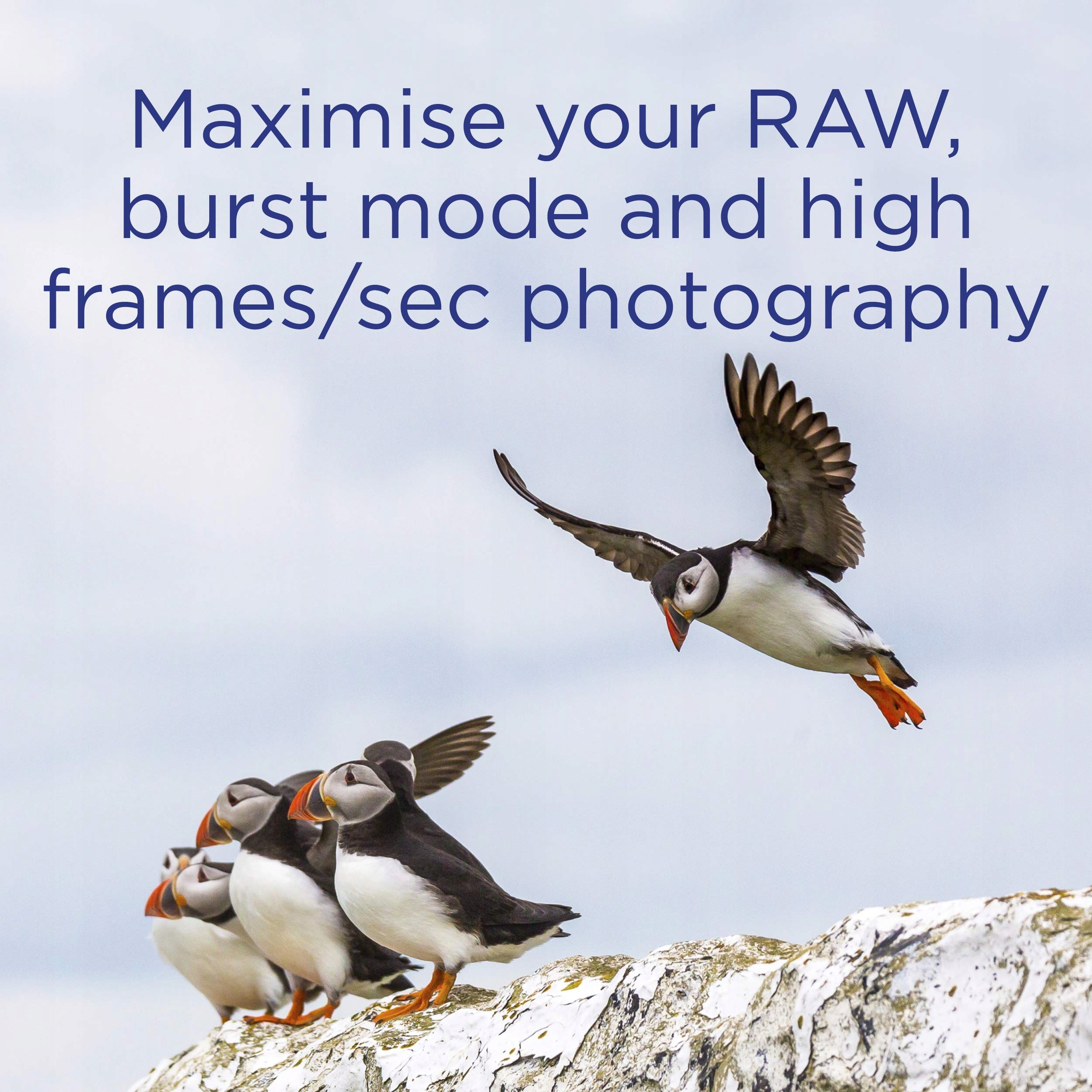 Integral 128 Gb CFast Card 2.0 wysoka wydajność Pojemność karty 128 GB