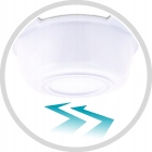 CANPOL MISECZKA Z USZAMI Z MELAMINY ANTYPOŚLIZGOWA Marka Canpol babies