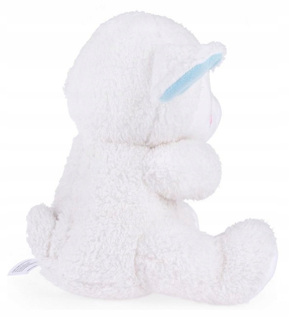 OWIECZKA SPOKOJNY SEN MODLI SIĘ ŚPIEWA PREZENT NA ROCZEK DLA DZIECKA Bohater brak